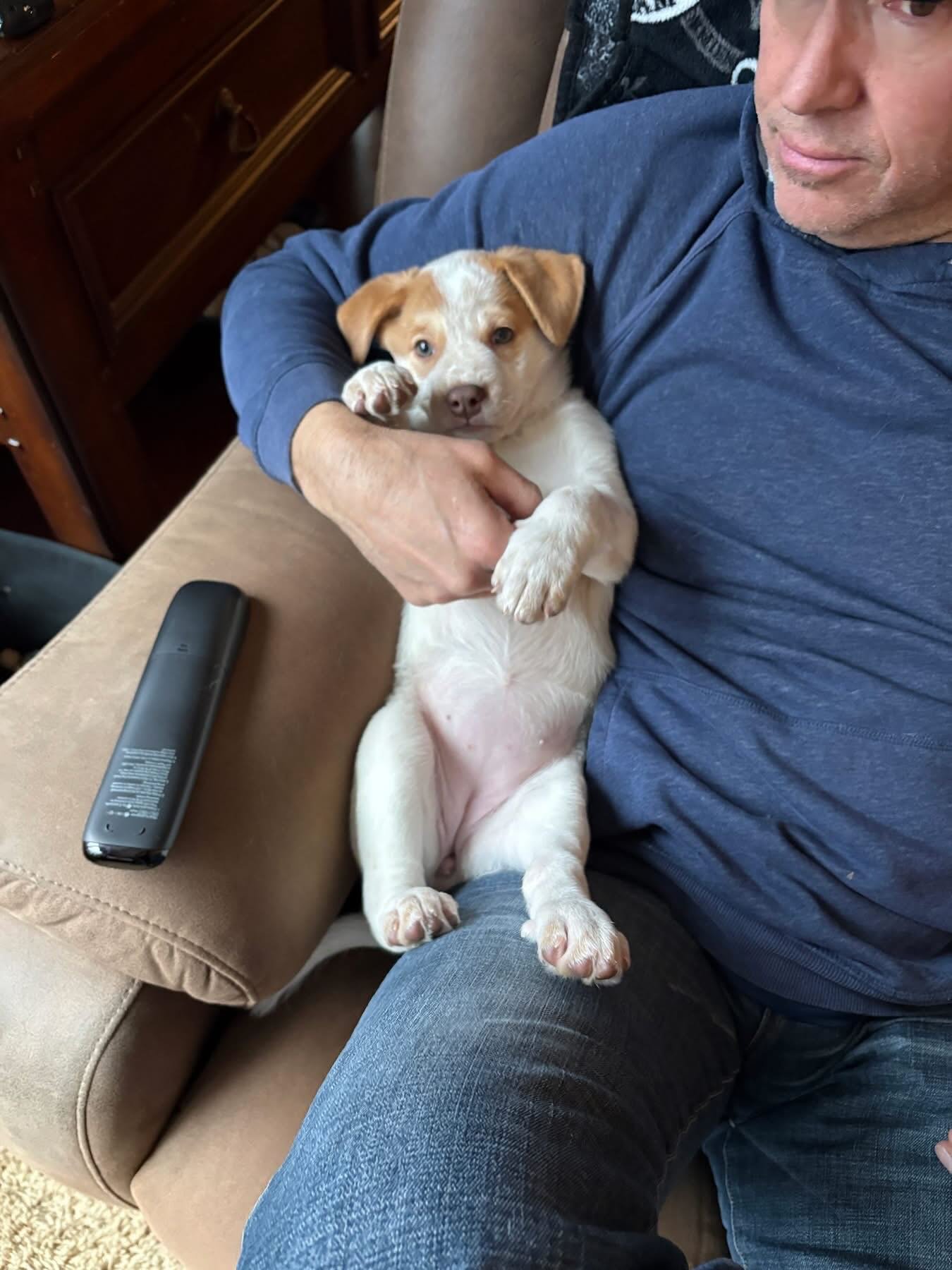 The 2026 Puppy Olympics have officially begun, and Mackenzie McCuteness, proudly representing Coco&rsquo;s Heart Dog Rescue, is absolutely dominating the competition. Spectators are calling it the most impressive rookie performance in Puppy Olympic h