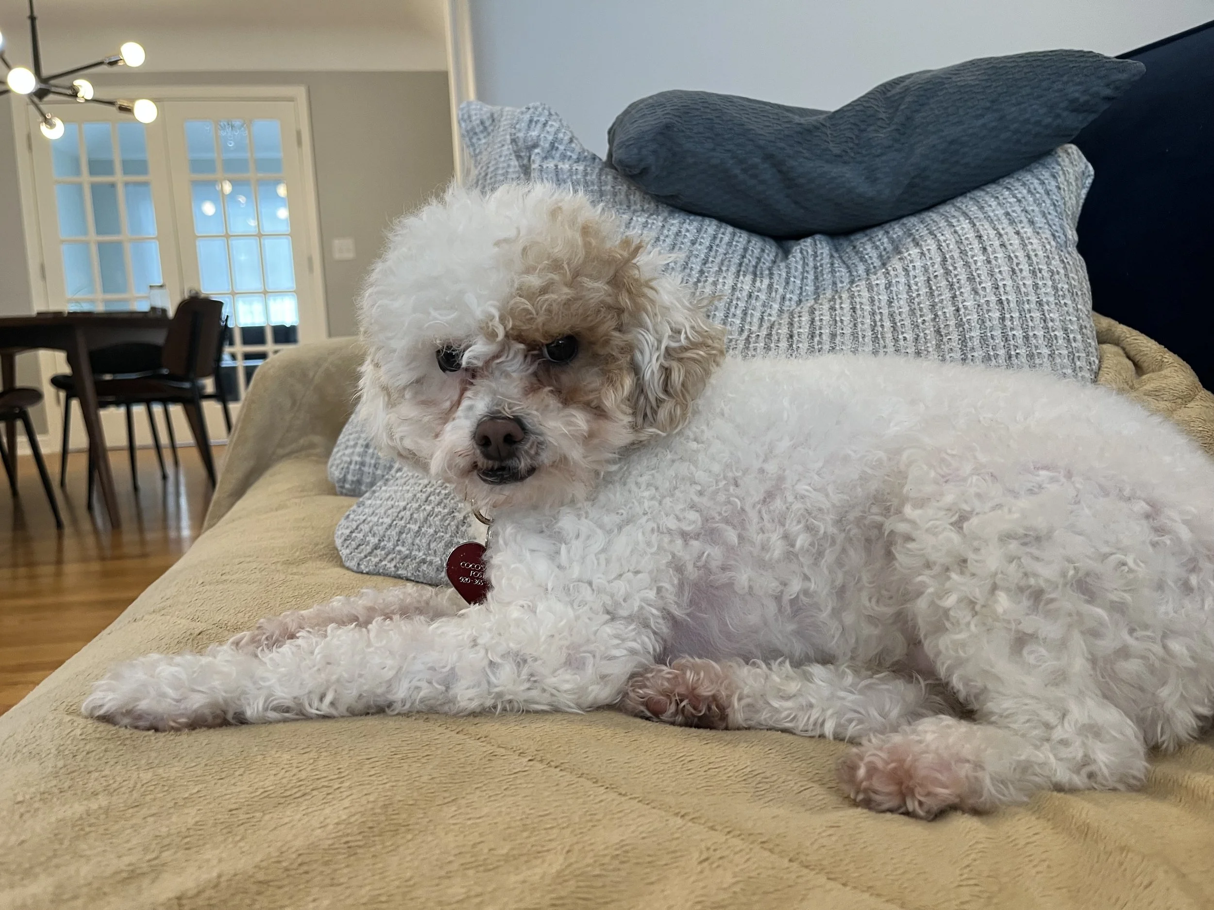 2026_02-07-2026_getting settled in.JPG