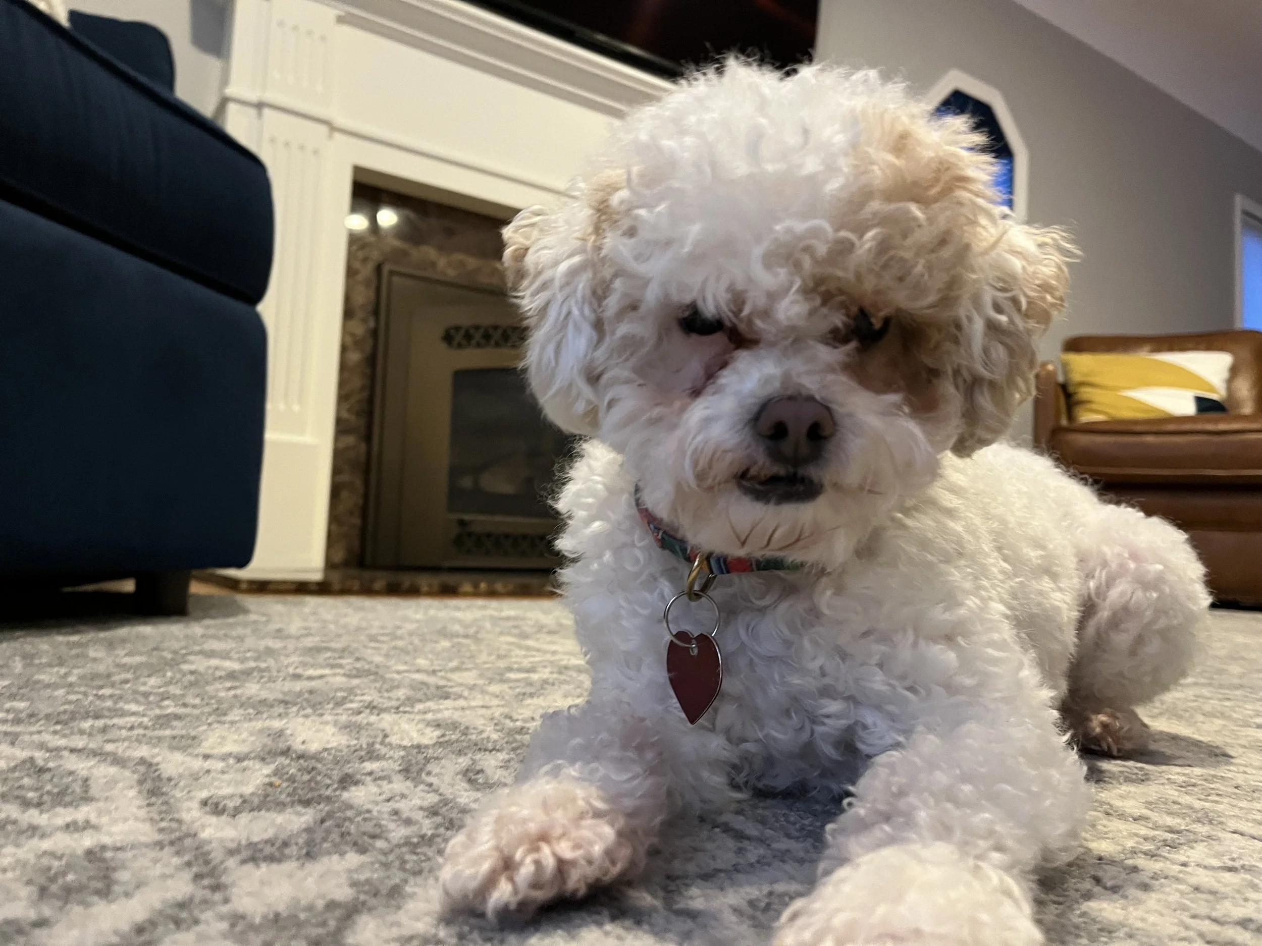 2026_02-16-2026 relaxing.JPG