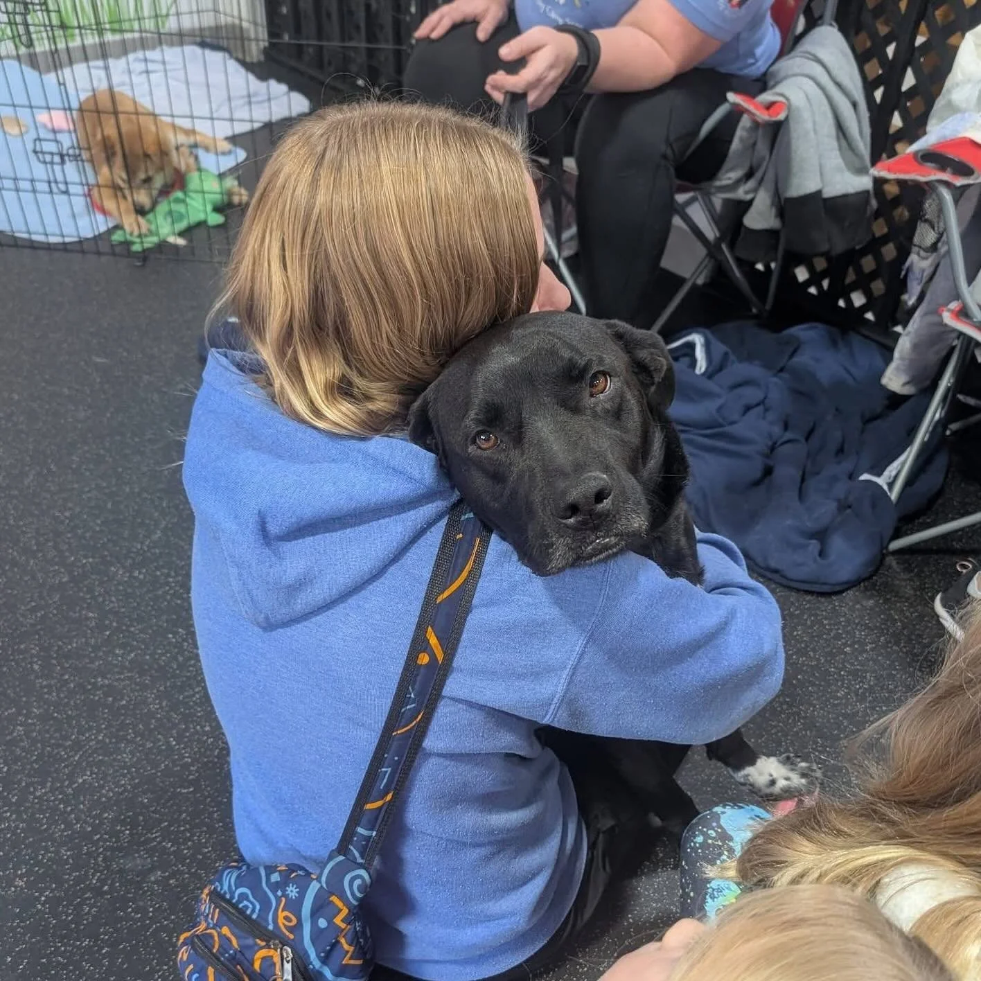Where oh where is Herschel&rsquo;s family?

This dog is an absolute dream! He attended our adoption event this past Saturday and was instant friends with everyone he met, as you can see from this photo of him enjoying some lap time. Herschel is a 1-y