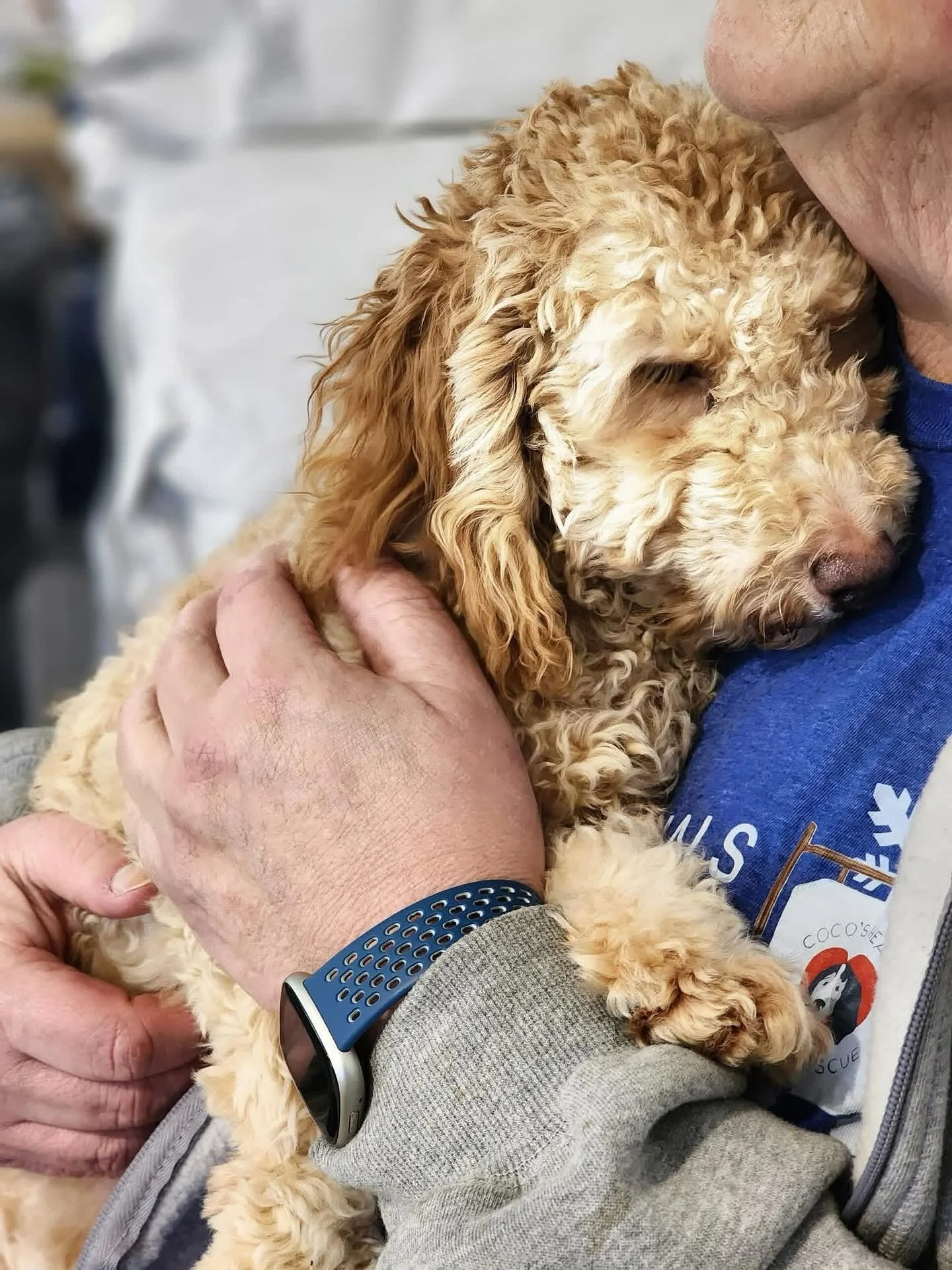 Welcome to rescue sweet boy, only up from here! &hearts;️