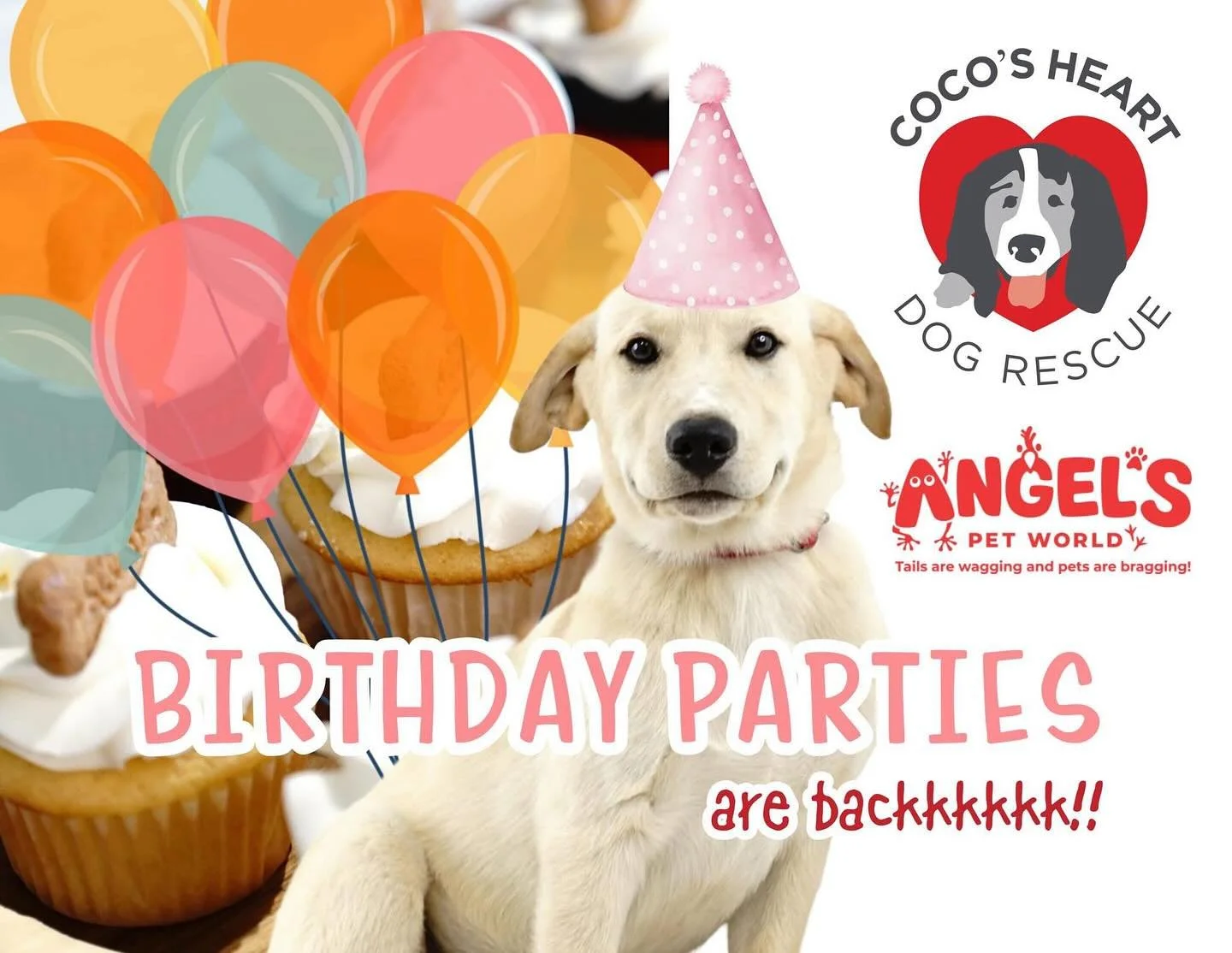 Celebrate your kiddo&rsquo;s birthday (or your birthday!) with puppies supporting rescue!! That&rsquo;s right, birthday parties are back, and we are open for scheduling starting Sunday, April 19th! 🥳

Parties will be held at Angel&rsquo;s Pet World 