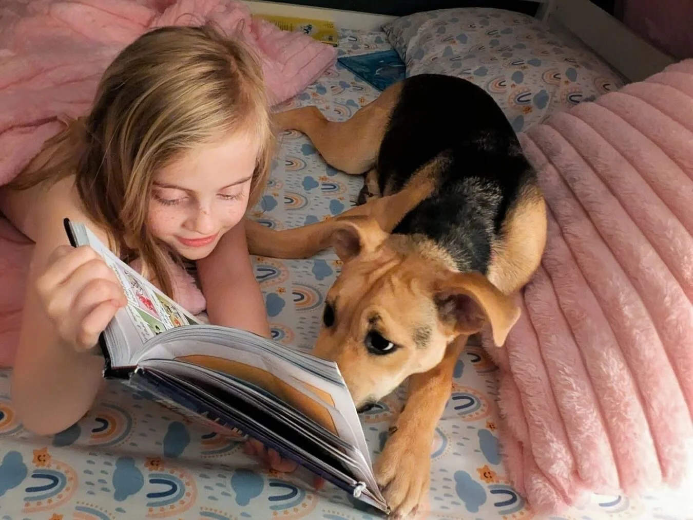 Tovah is an adoptable puppy who is as sweet and kind as they get. She&rsquo;s hoping to find a forever family equally as amazing as her foster family! Only the best of the best for this little lady! 💖