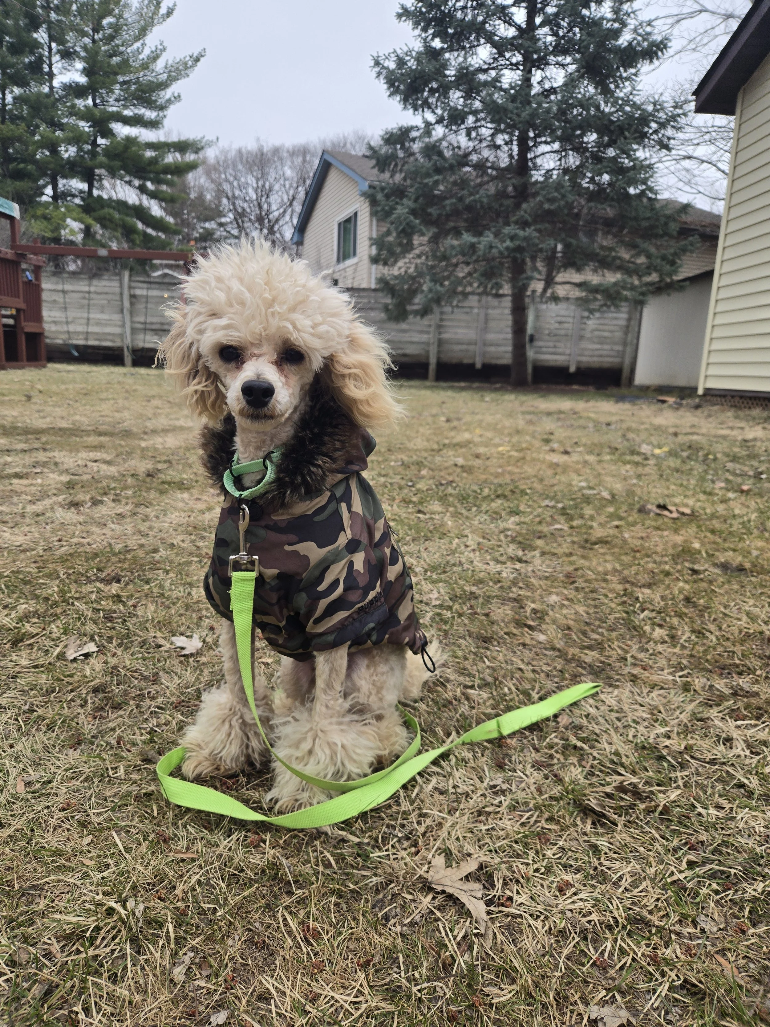 20260401_170430 (1).jpg