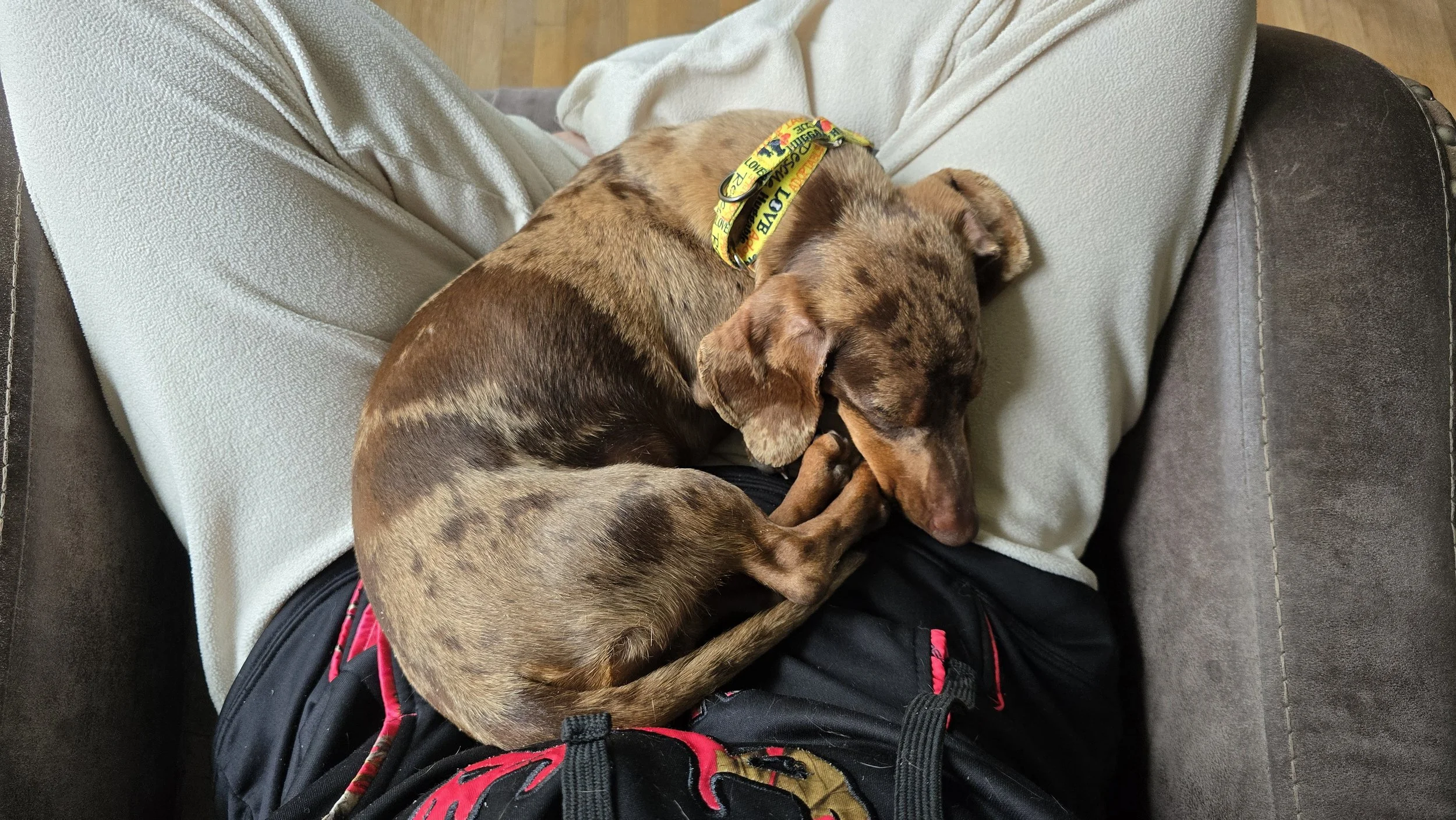 1000013866.jpg
