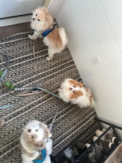 image2.jpeg