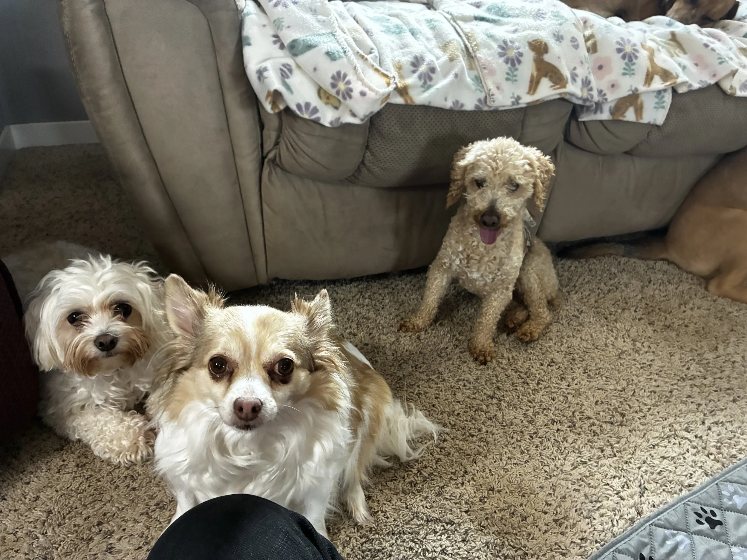 IMG_2419.jpeg