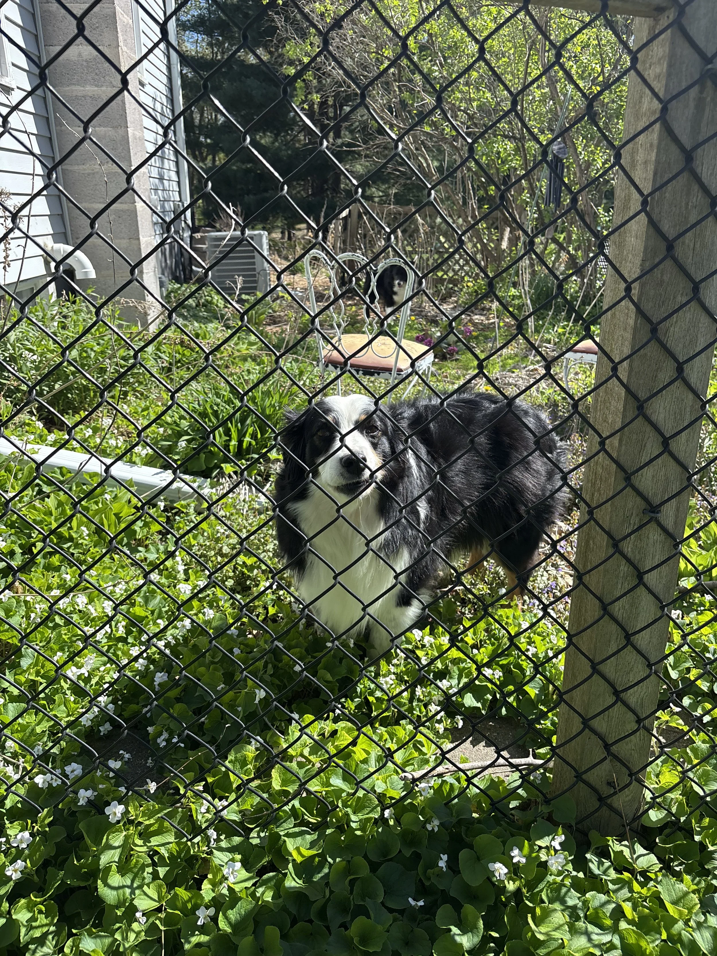 IMG_7334.jpeg