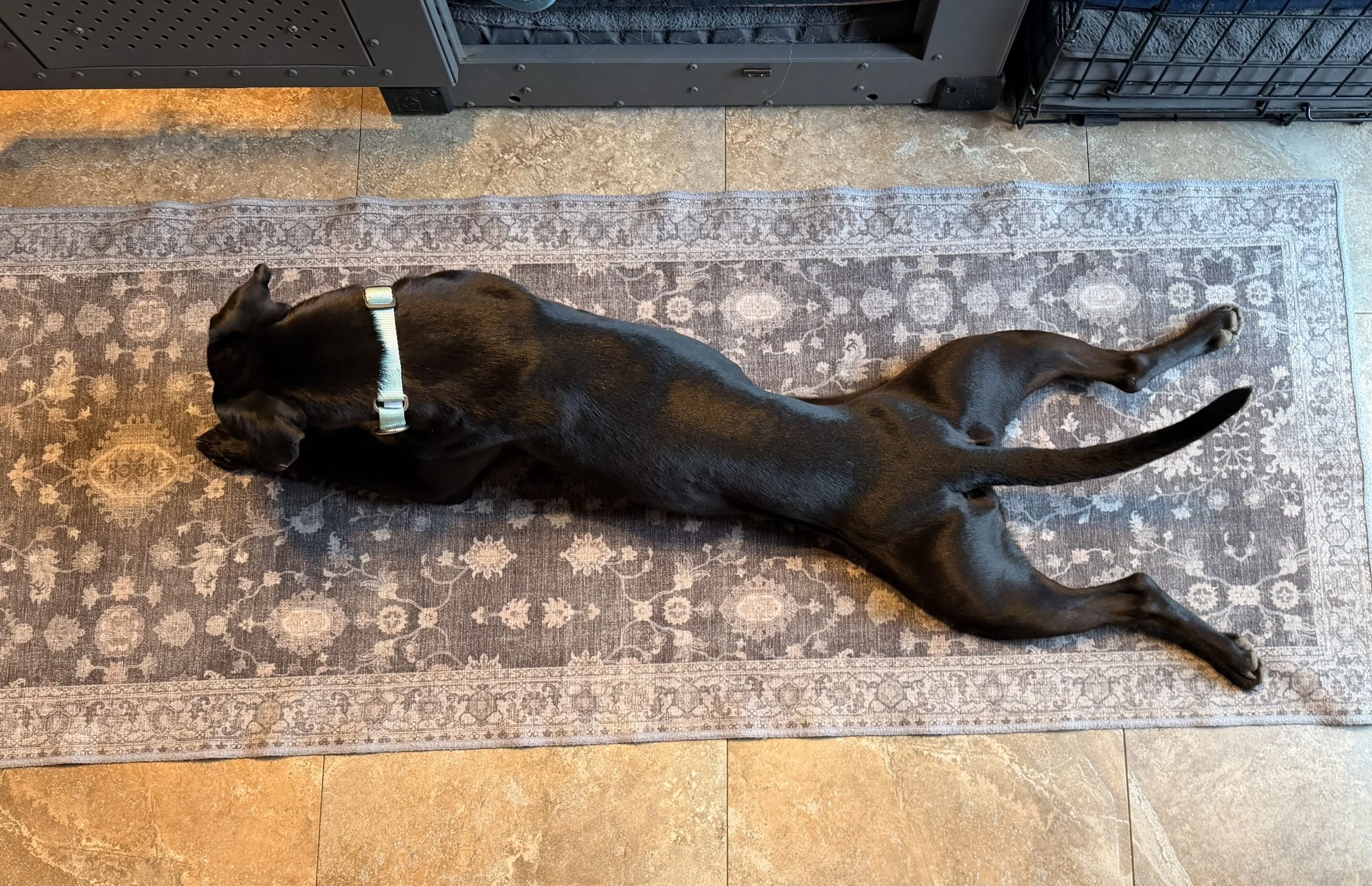 image11.jpeg