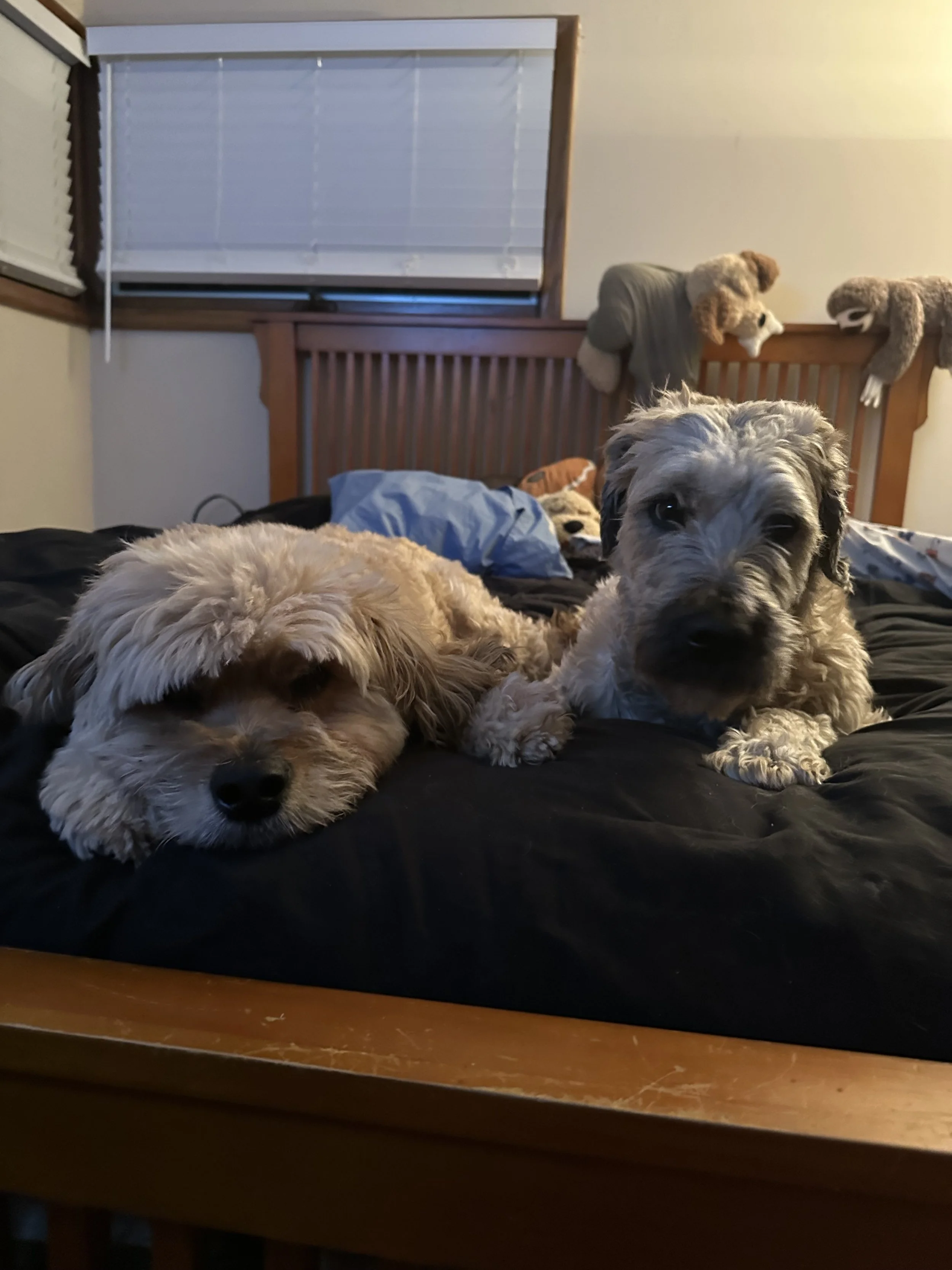IMG_4669.jpeg