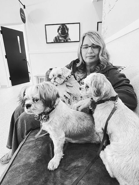 Waiting for the doc! 🐶 Blossom, Kitty and LuLee are all available for adoption and excited to find families of their own! 💕 #shihtzu