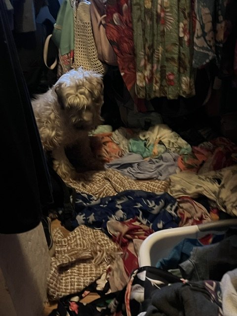 image0.jpeg