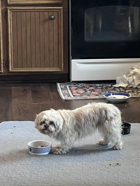 image1.jpeg