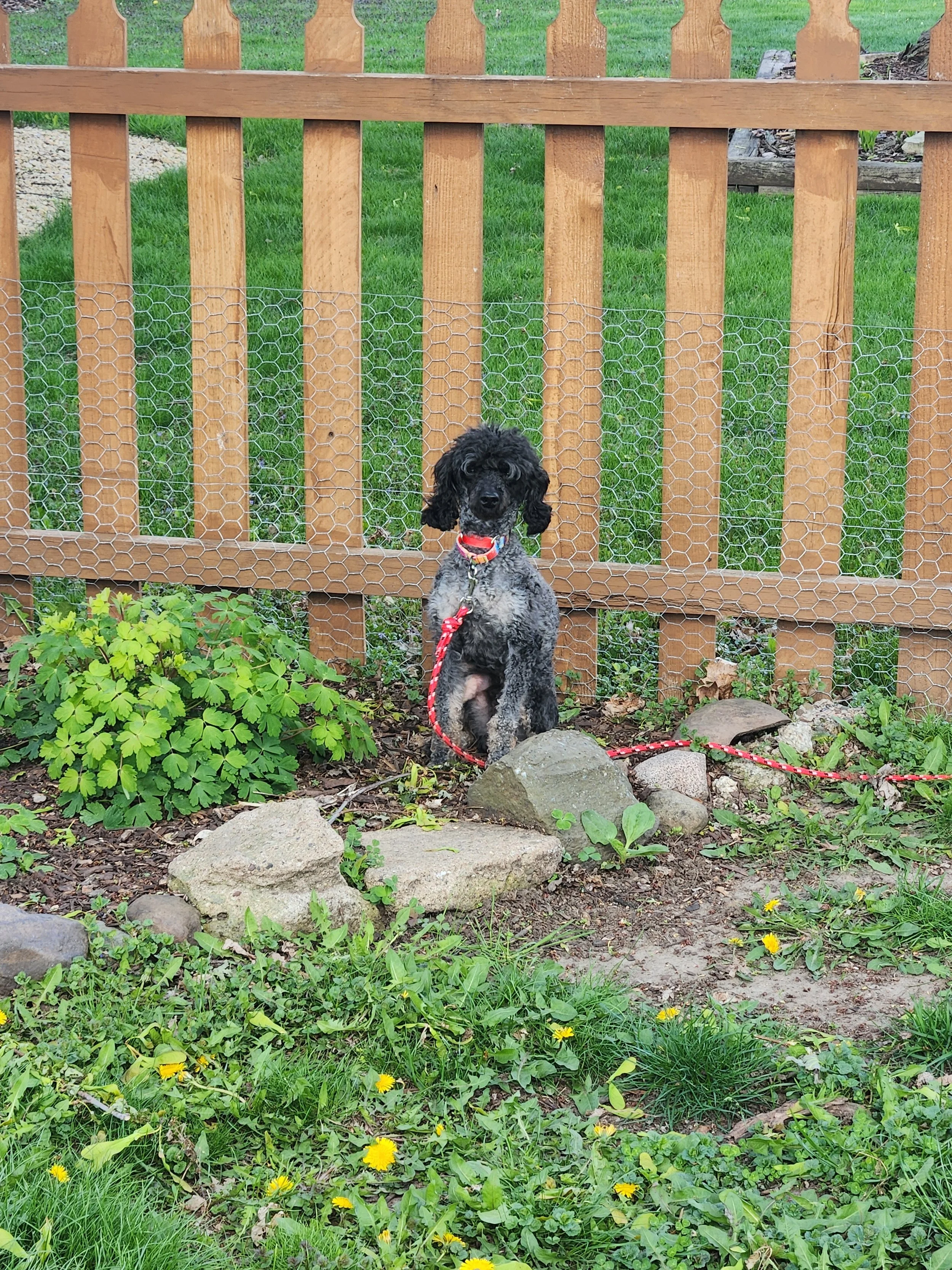 Wade with plants.jpg