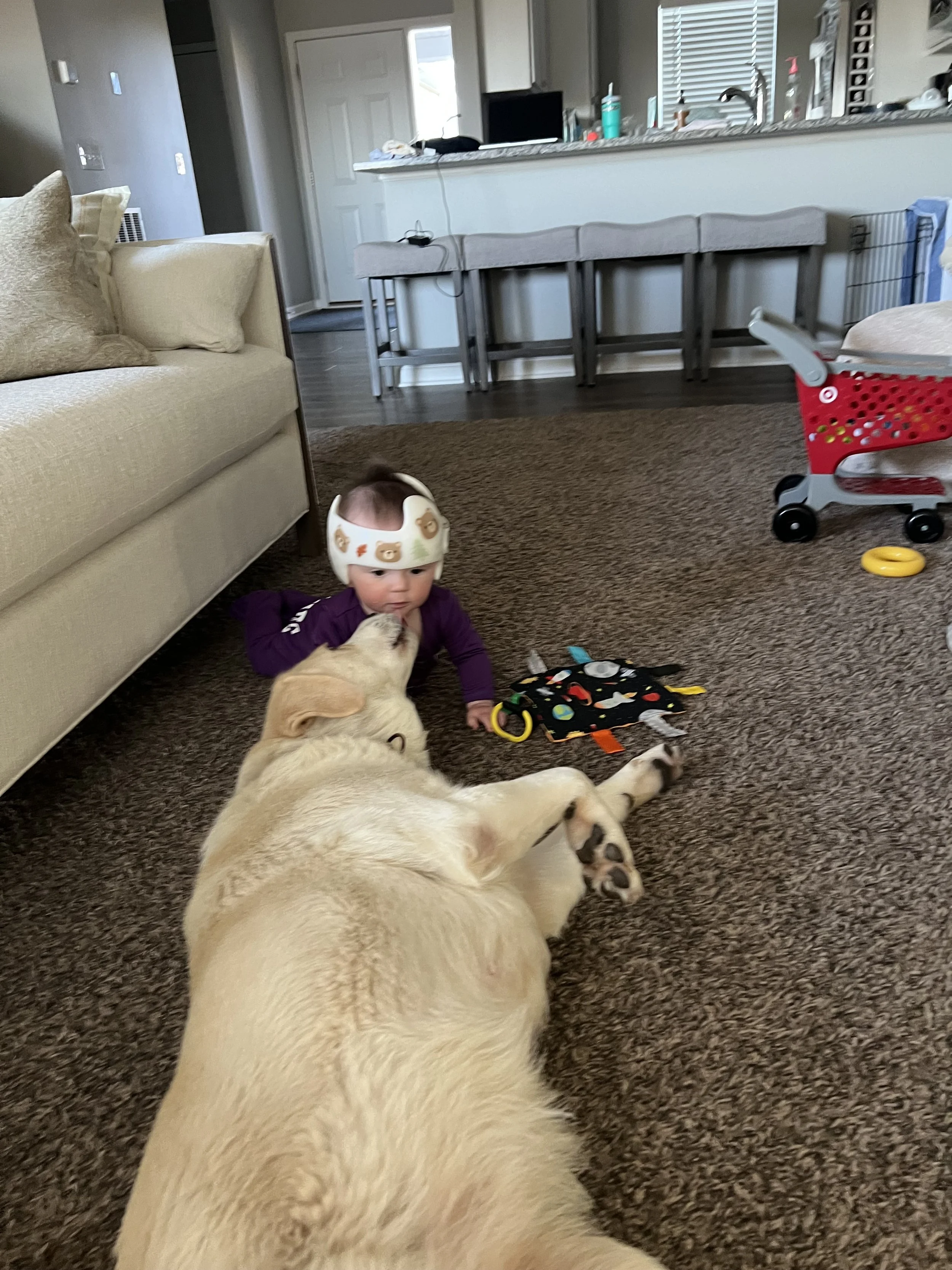 IMG_9915.jpeg