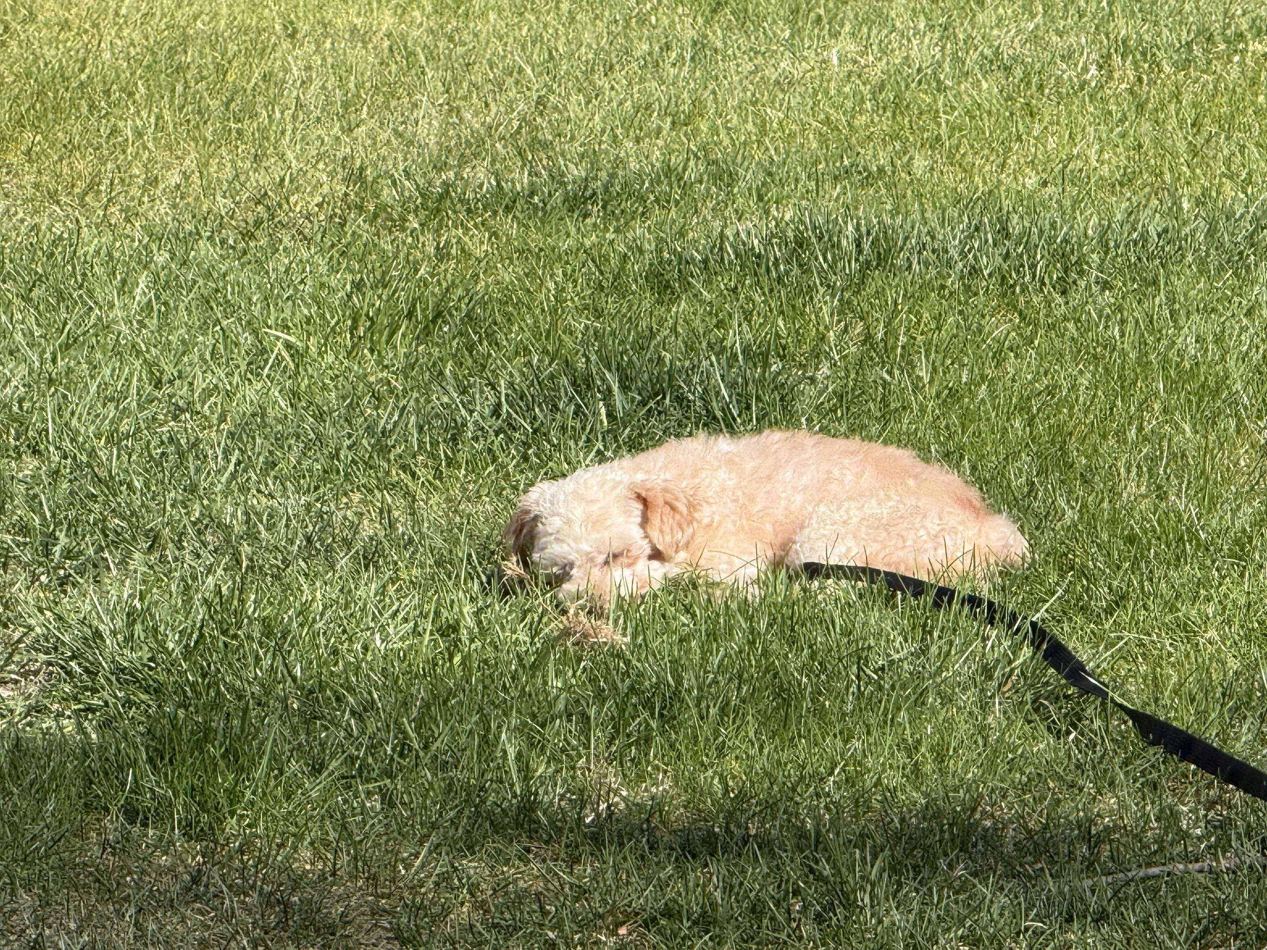 IMG_6508.jpeg