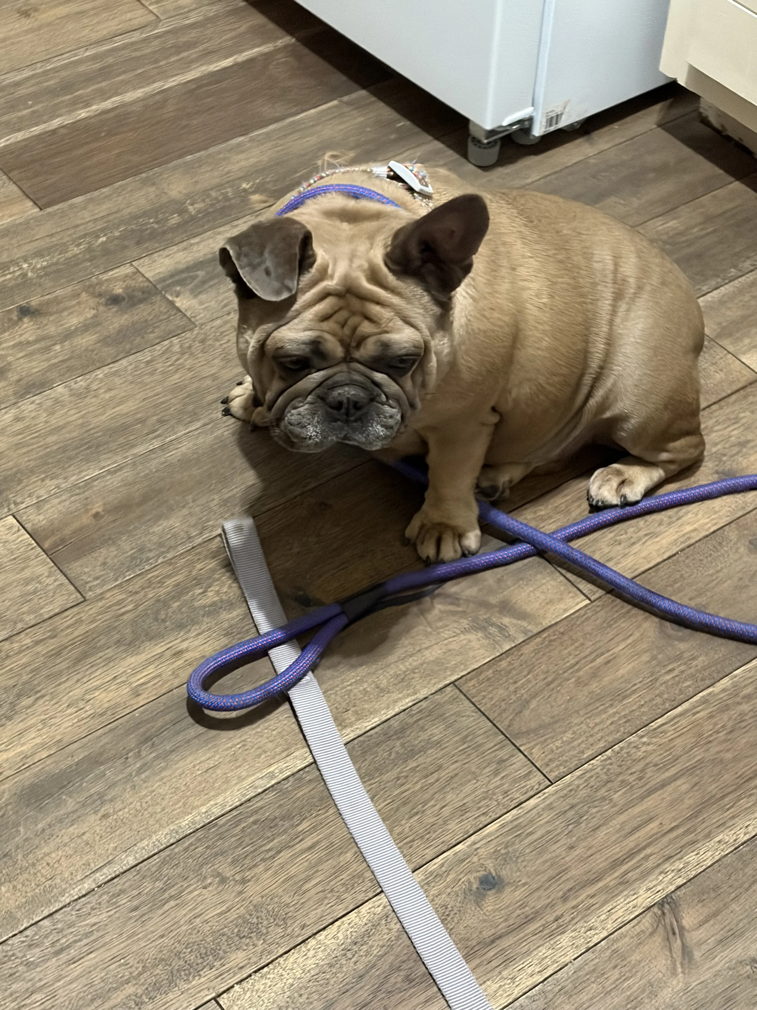 IMG_0136.jpeg