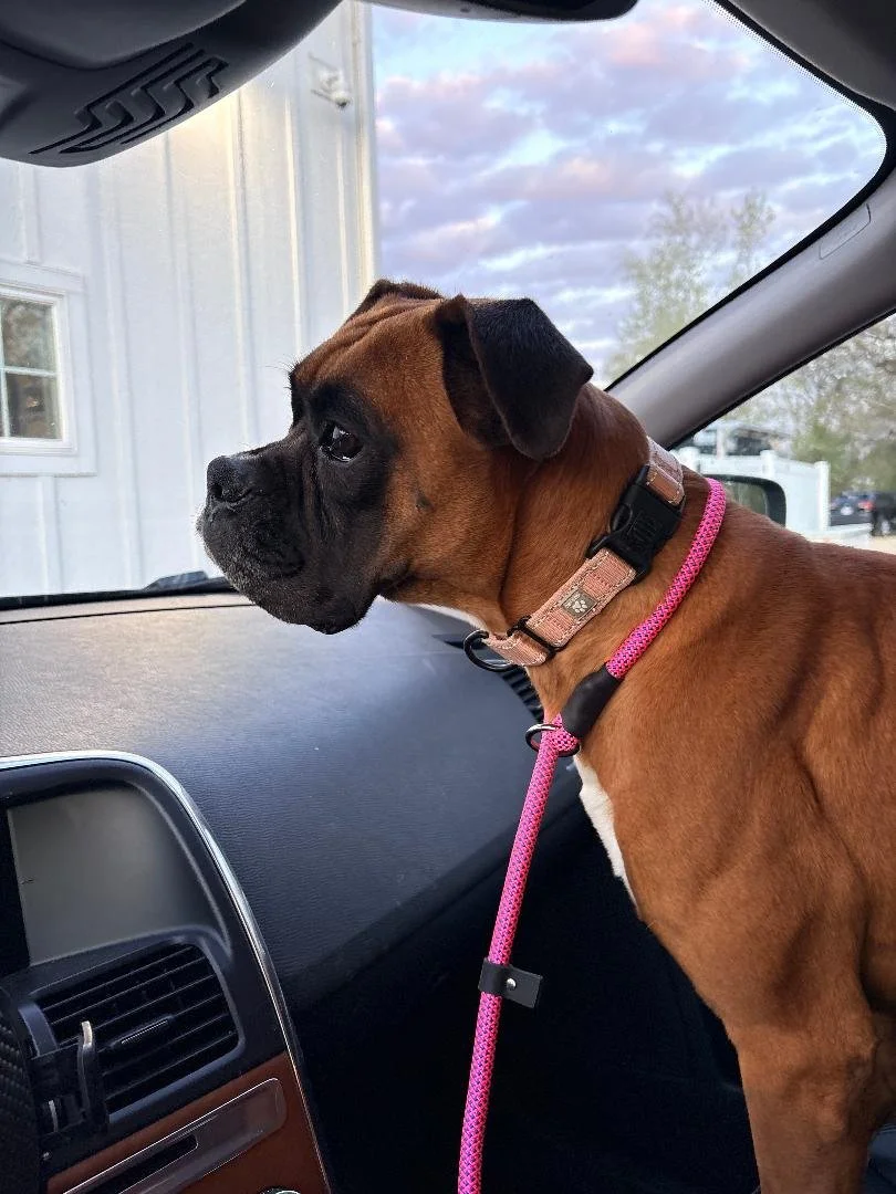 Darla 1.jpg