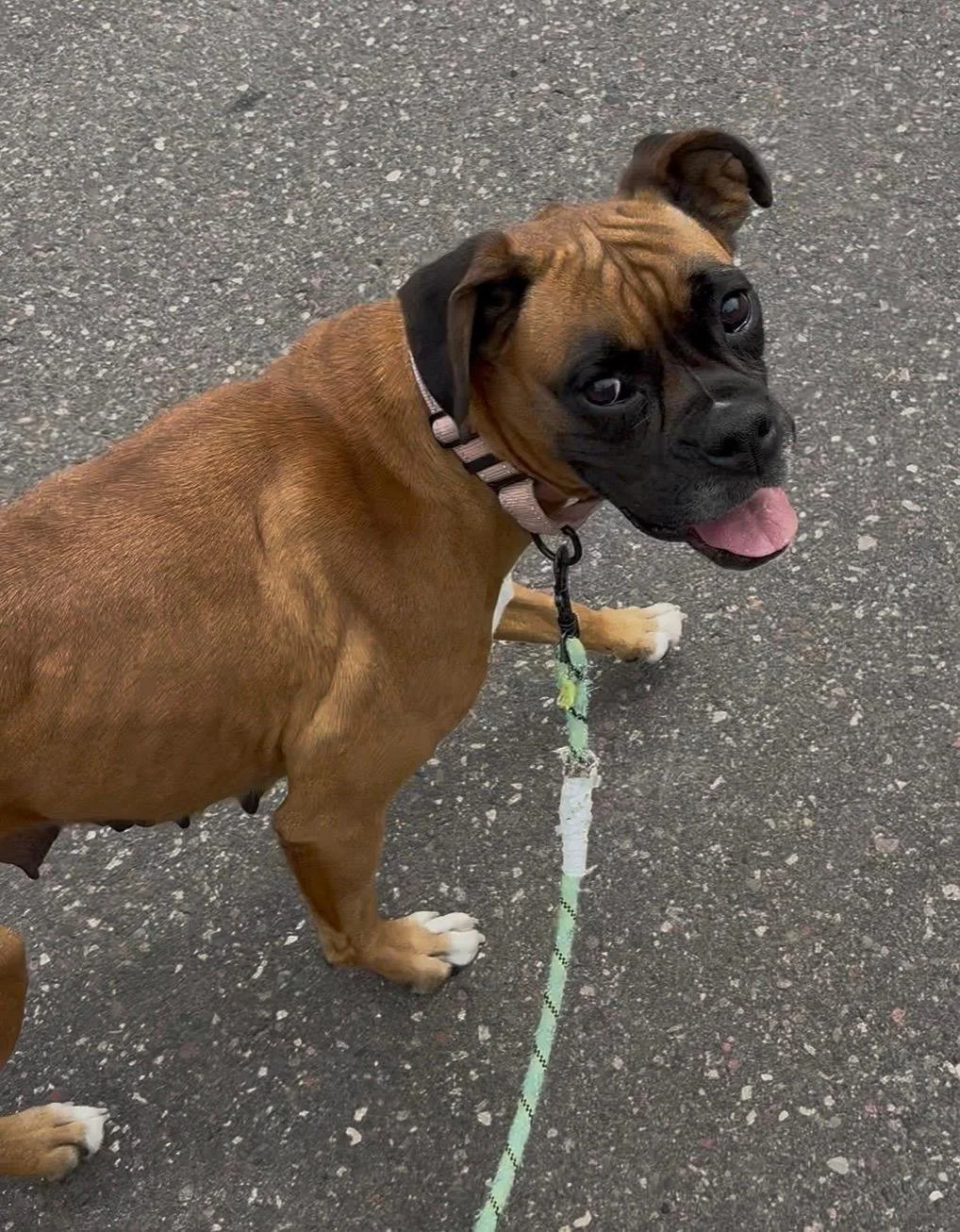 Darla 2.jpg