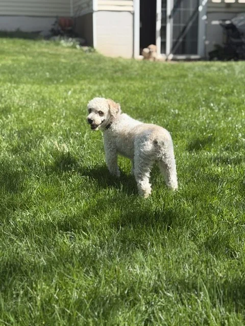 image2.jpeg