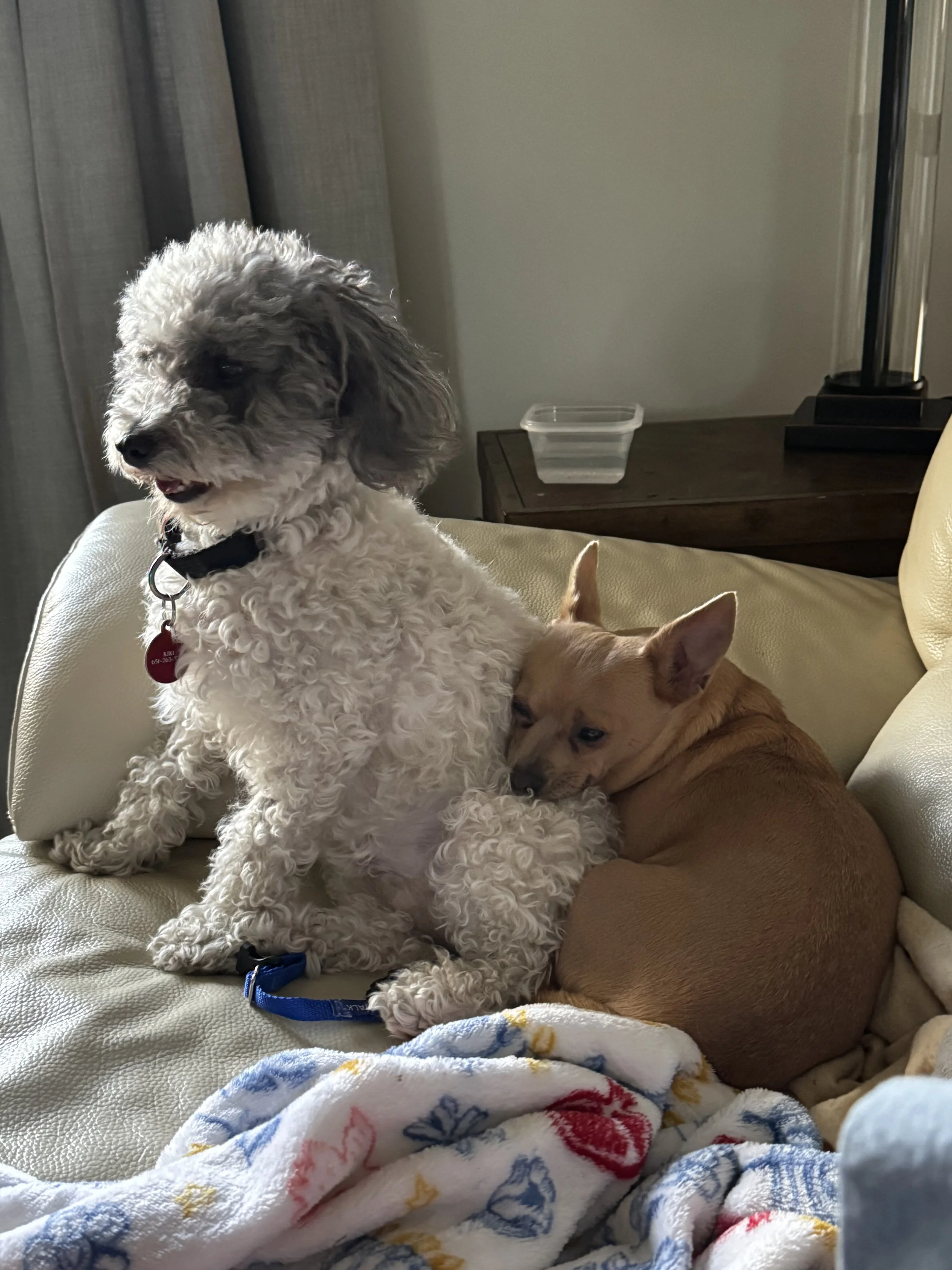 IMG_2248.jpeg