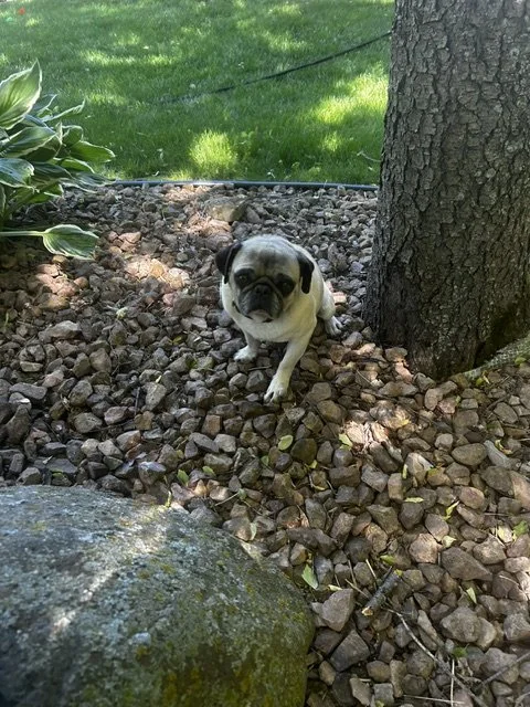 image0.jpeg