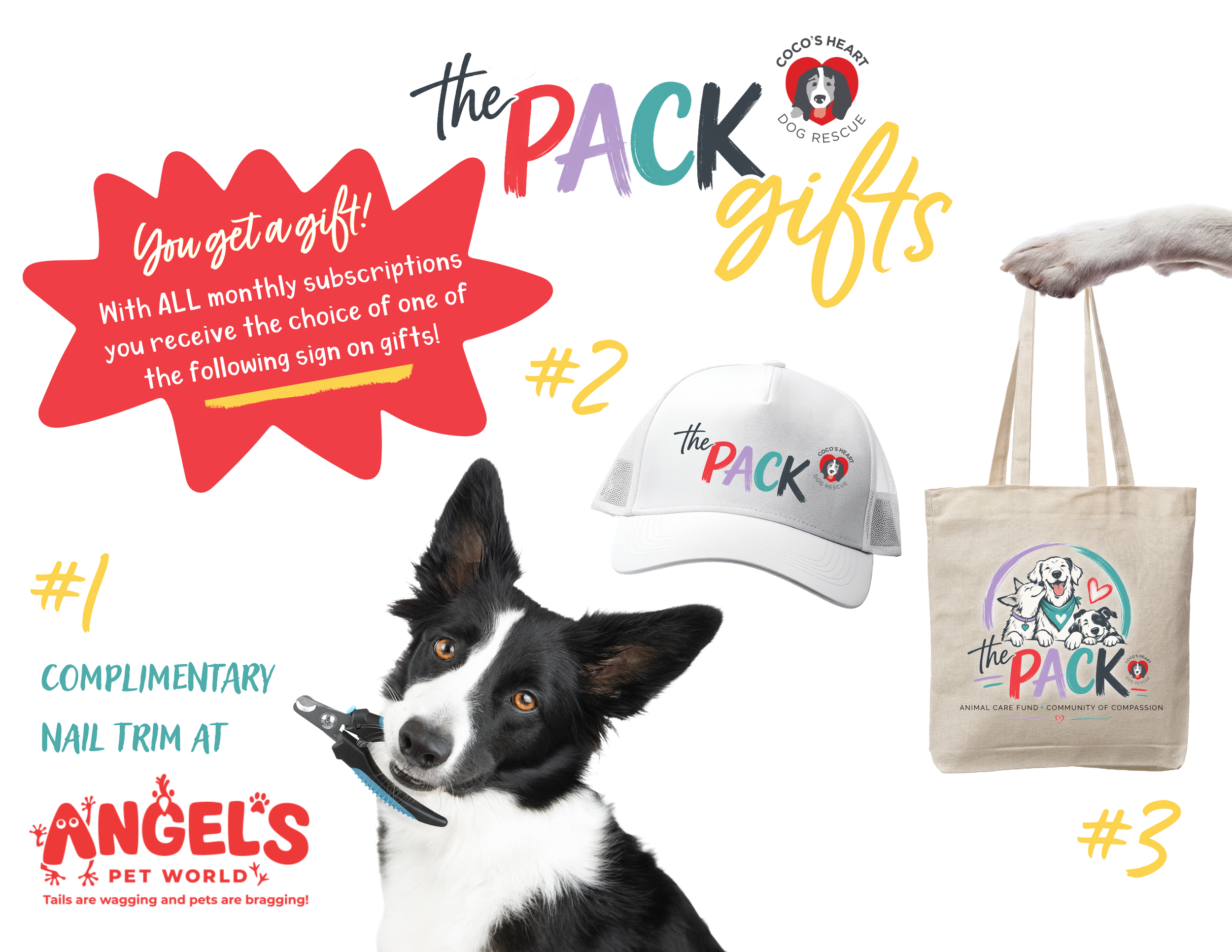 The Pack Animal Care Fund-7-5.png