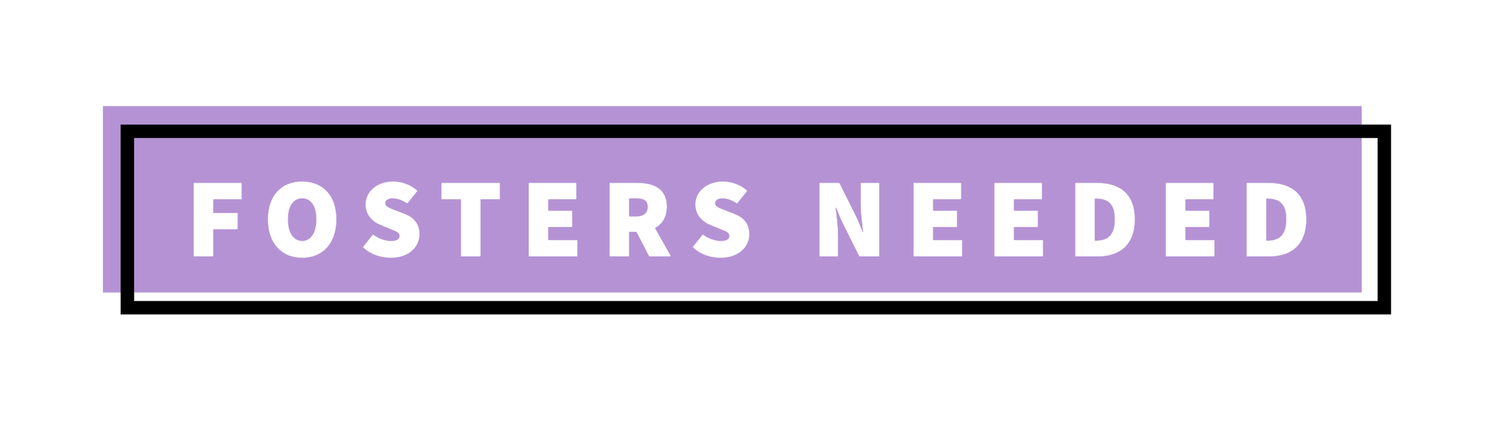 Animals Needing a Foster Home! — Coco's Heart Dog Rescue