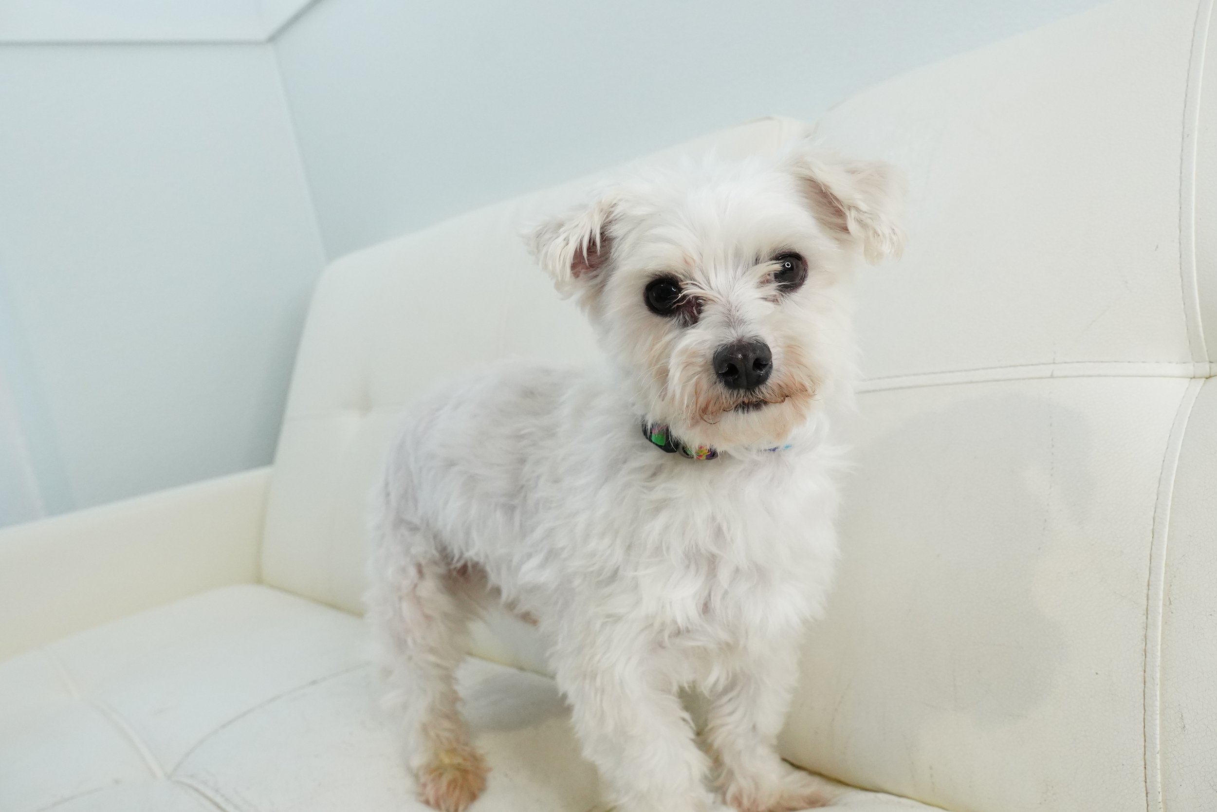 SSP_69064.JPG