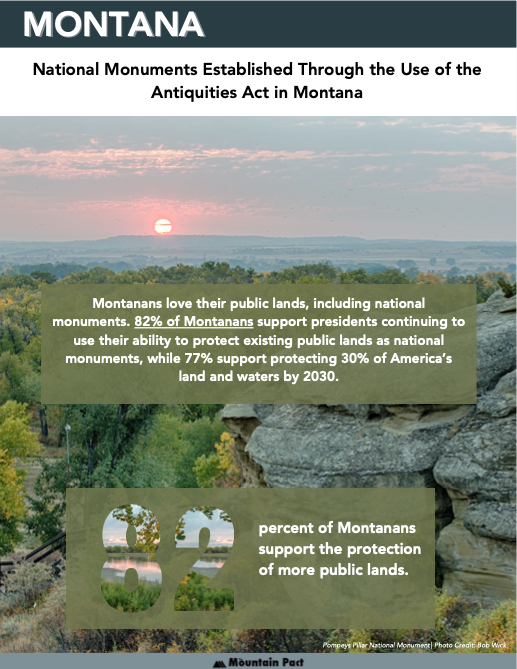 Montana Report 1st Page Image.png