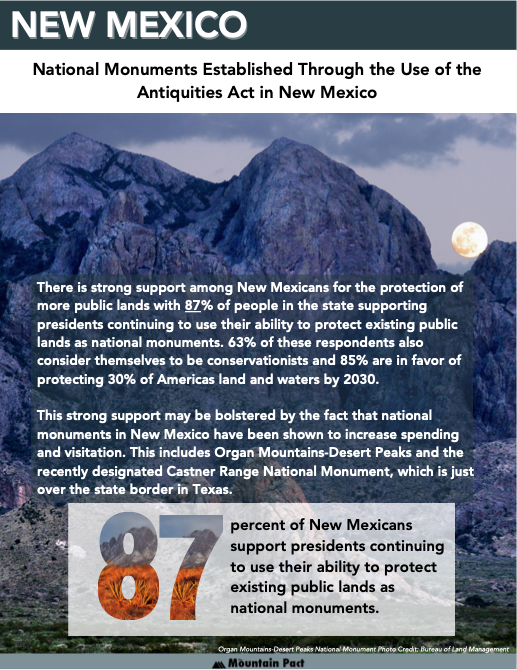 New Mexico Report 1st Page Image.png
