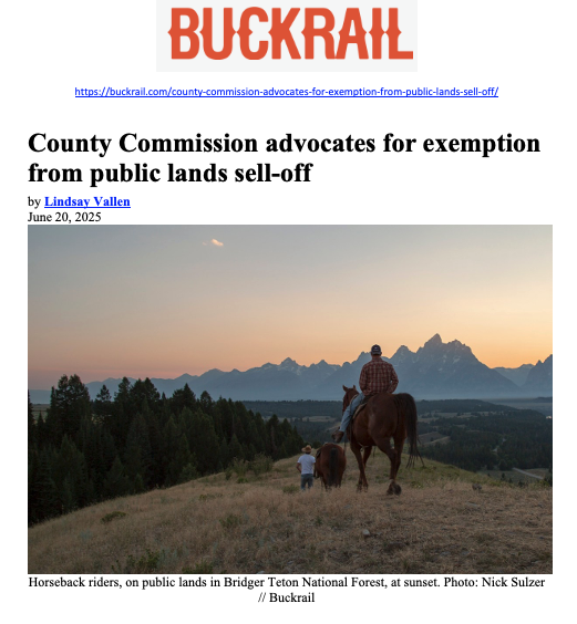 Buckrail.png