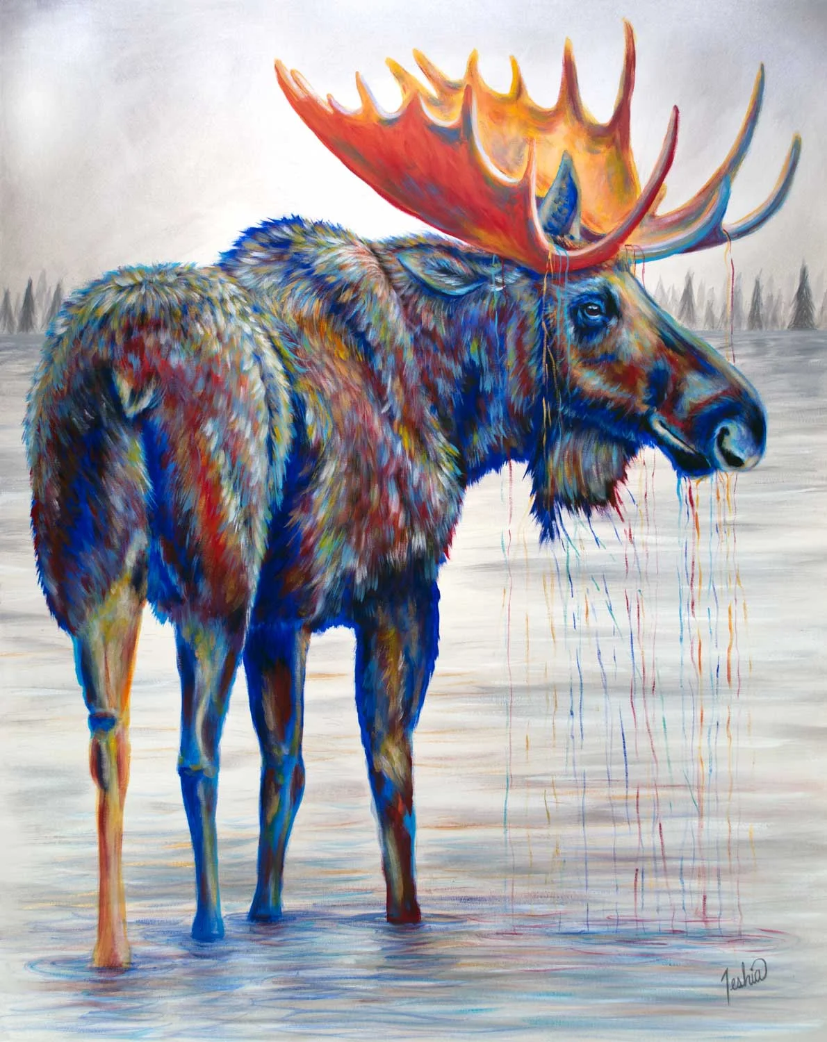 Majestic Moose