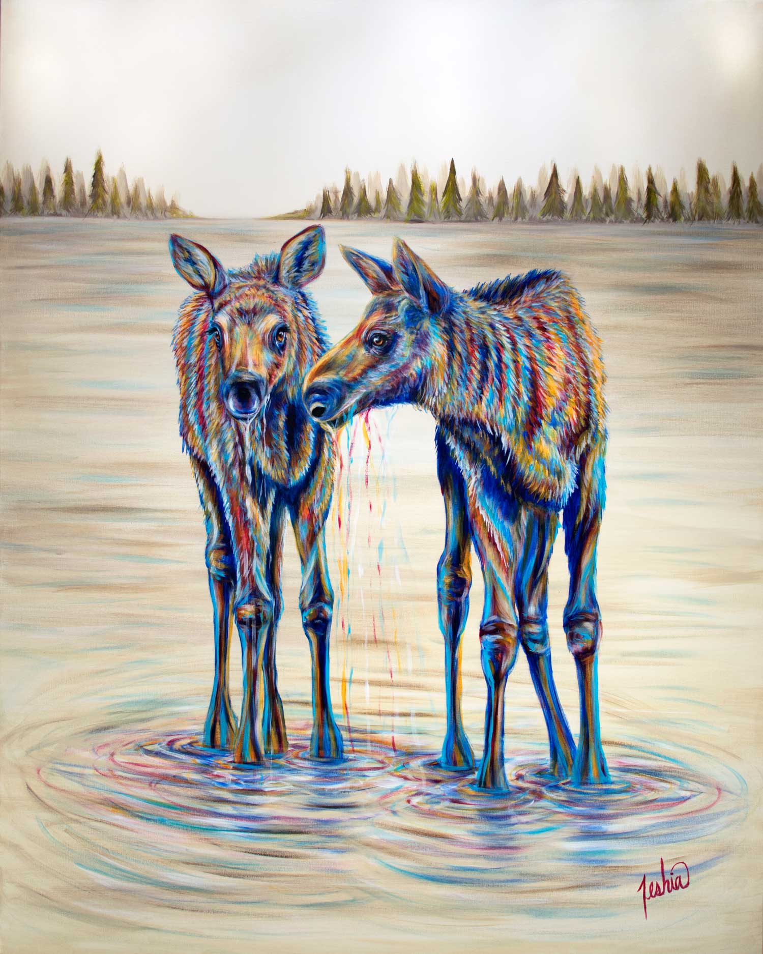 Moose Gathering - Baby Moose