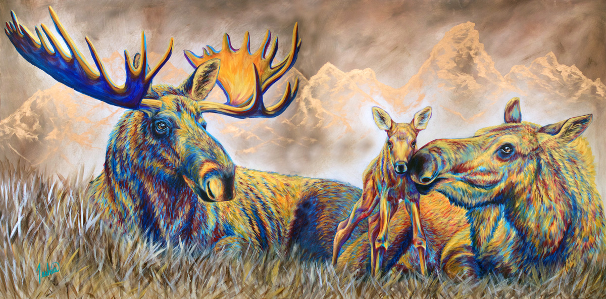 Moose Meadows