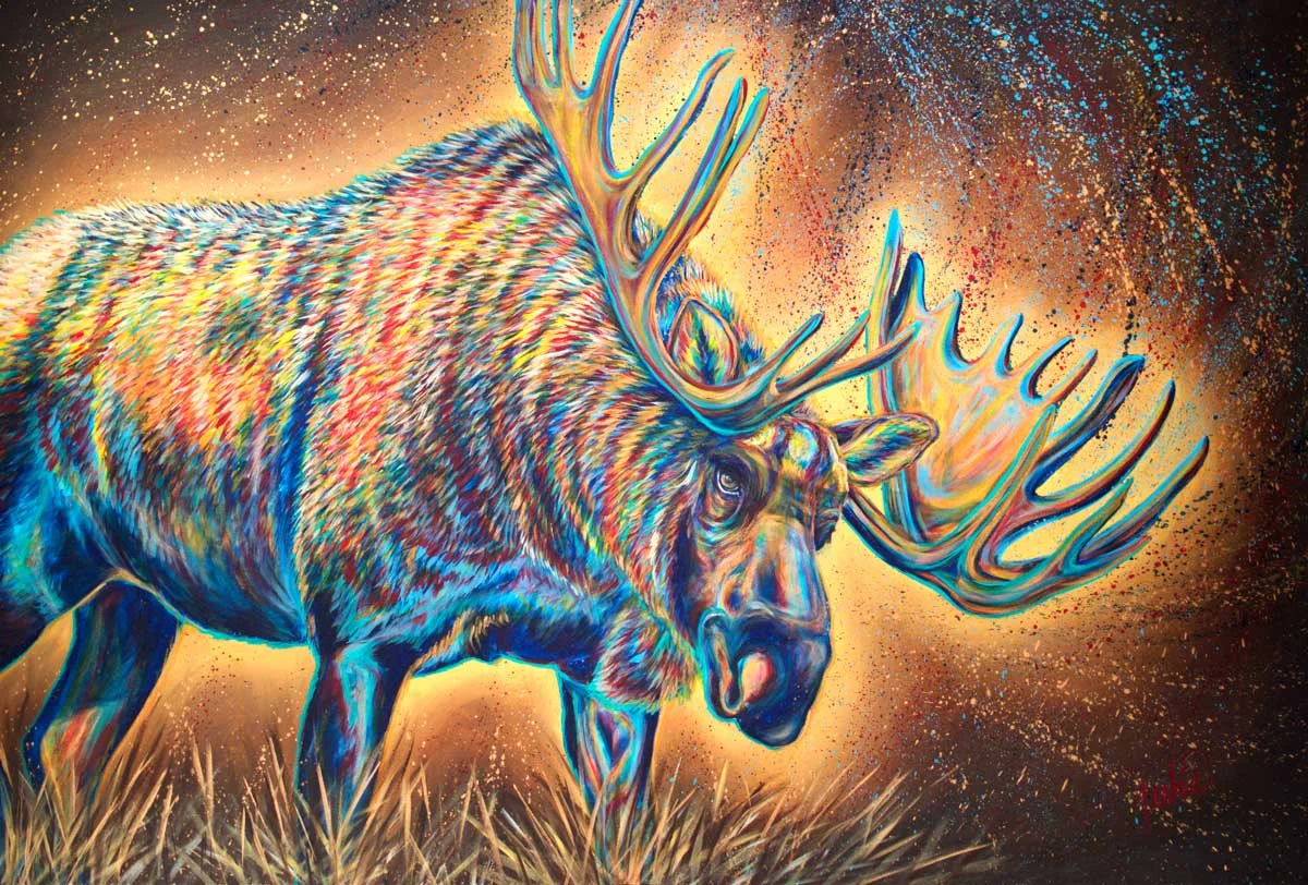 Moose Madness