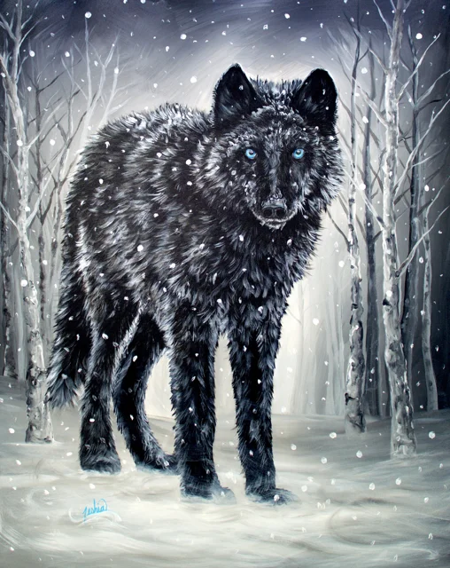 Winter is Coming