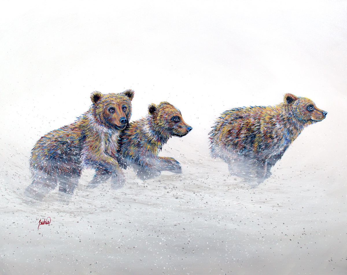 On the Run