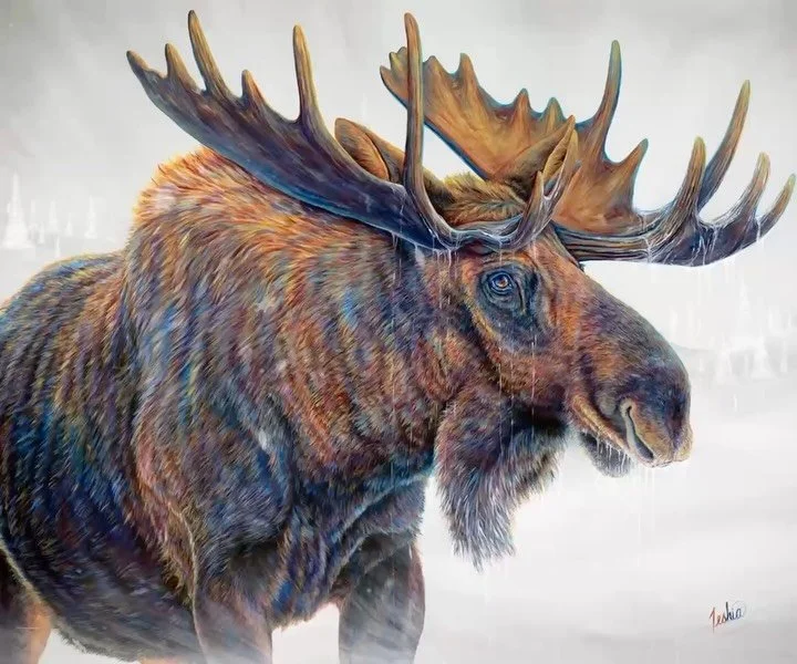 Meet &ldquo;𝐆𝐫𝐞𝐚𝐭 𝐍𝐨𝐫𝐭𝐡𝐞𝐫𝐧 𝐌𝐨𝐨𝐬𝐞&rdquo;! 🫎✨ 𝟔𝟎𝐱𝟕𝟐&rdquo; | 𝐎𝐫𝐢𝐠𝐢𝐧𝐚𝐥: 𝐒𝐎𝐋𝐃 | Prints Available
(Link in bio)

I&rsquo;m so grateful this majestic moose found a wonderful home with an amazing family in Missoula, Monta