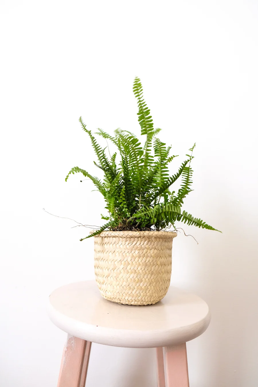 KUPUKUPU WOVEN BASKET