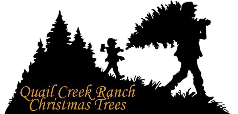 Quail Creek Ranch Christmas Trees