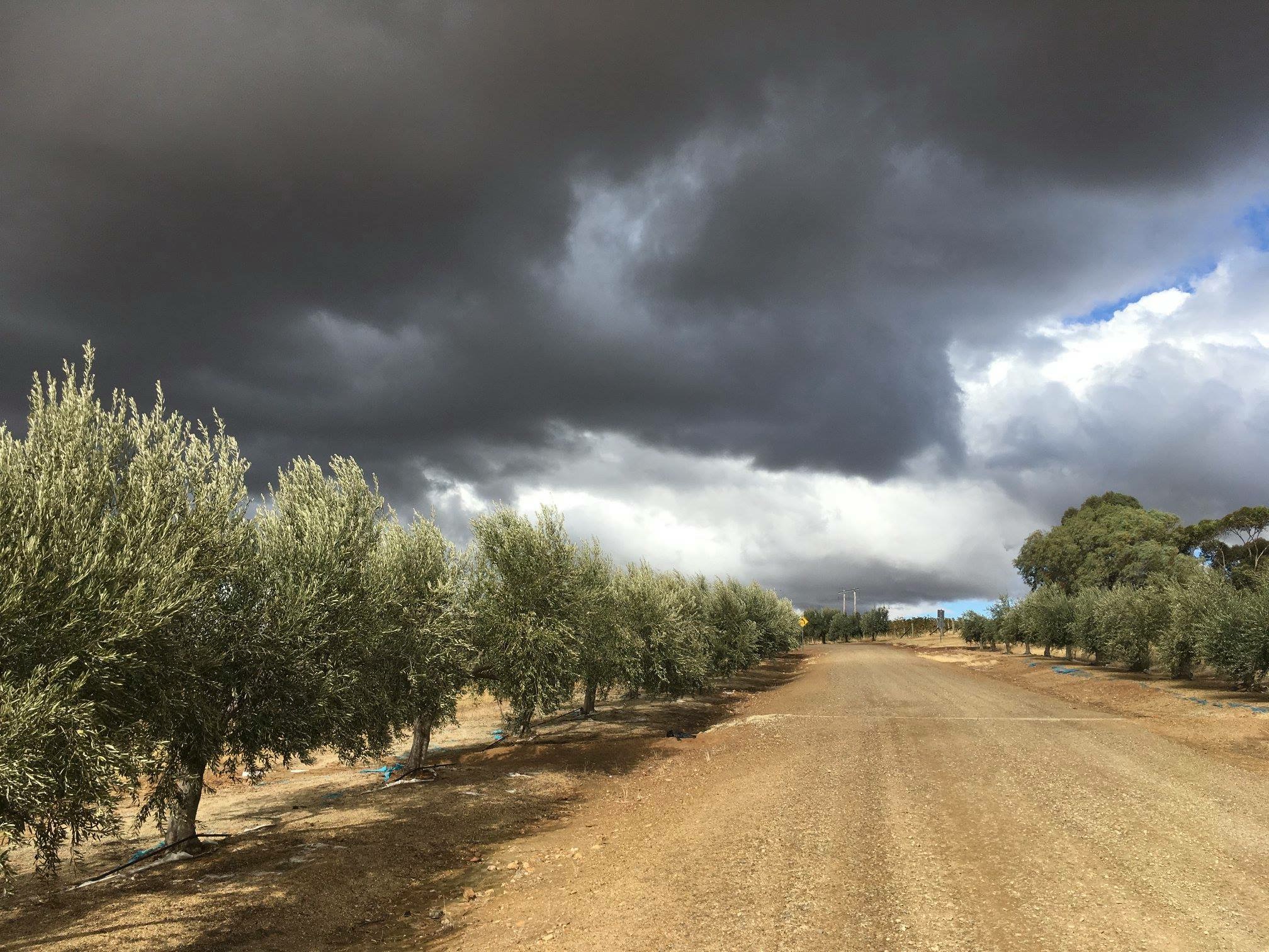 Cloudy Driveway.JPG