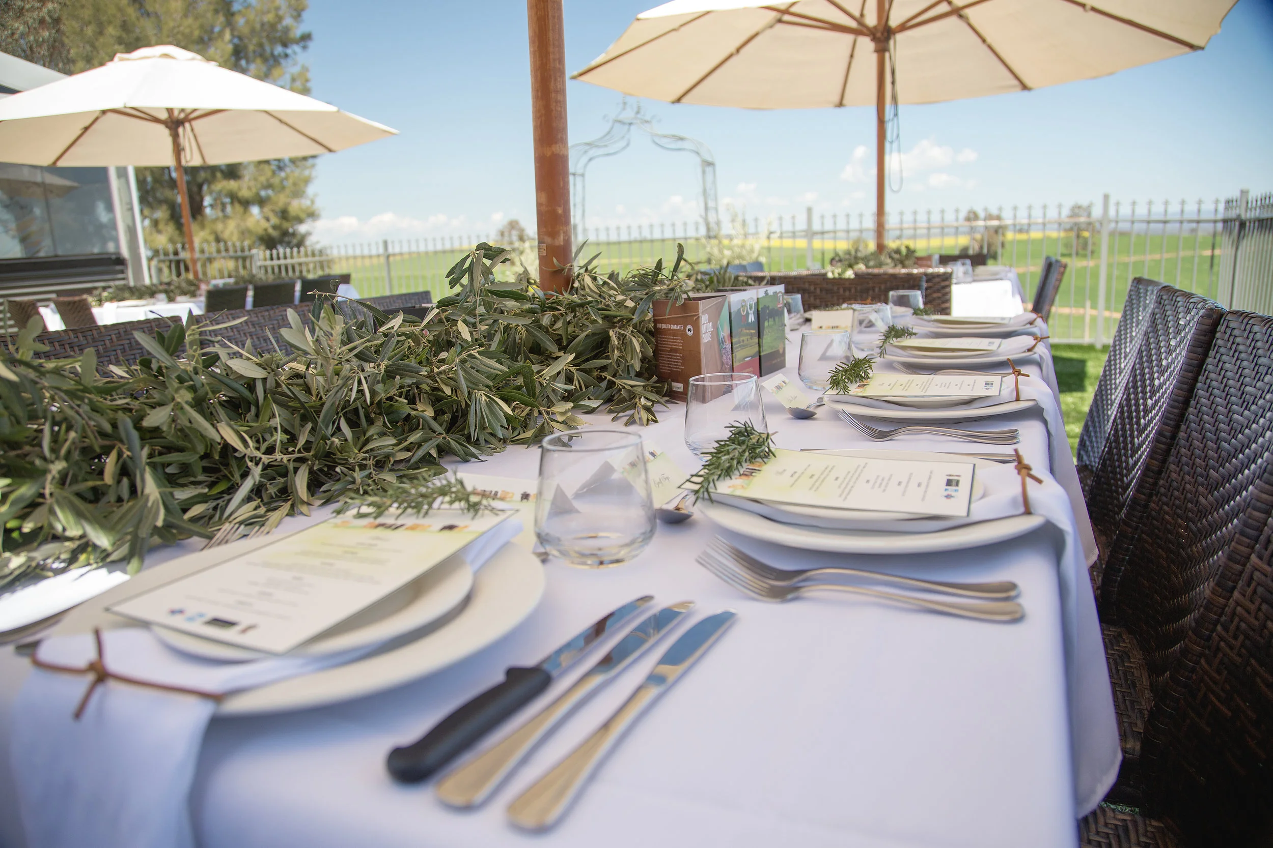 Cottontail Wines