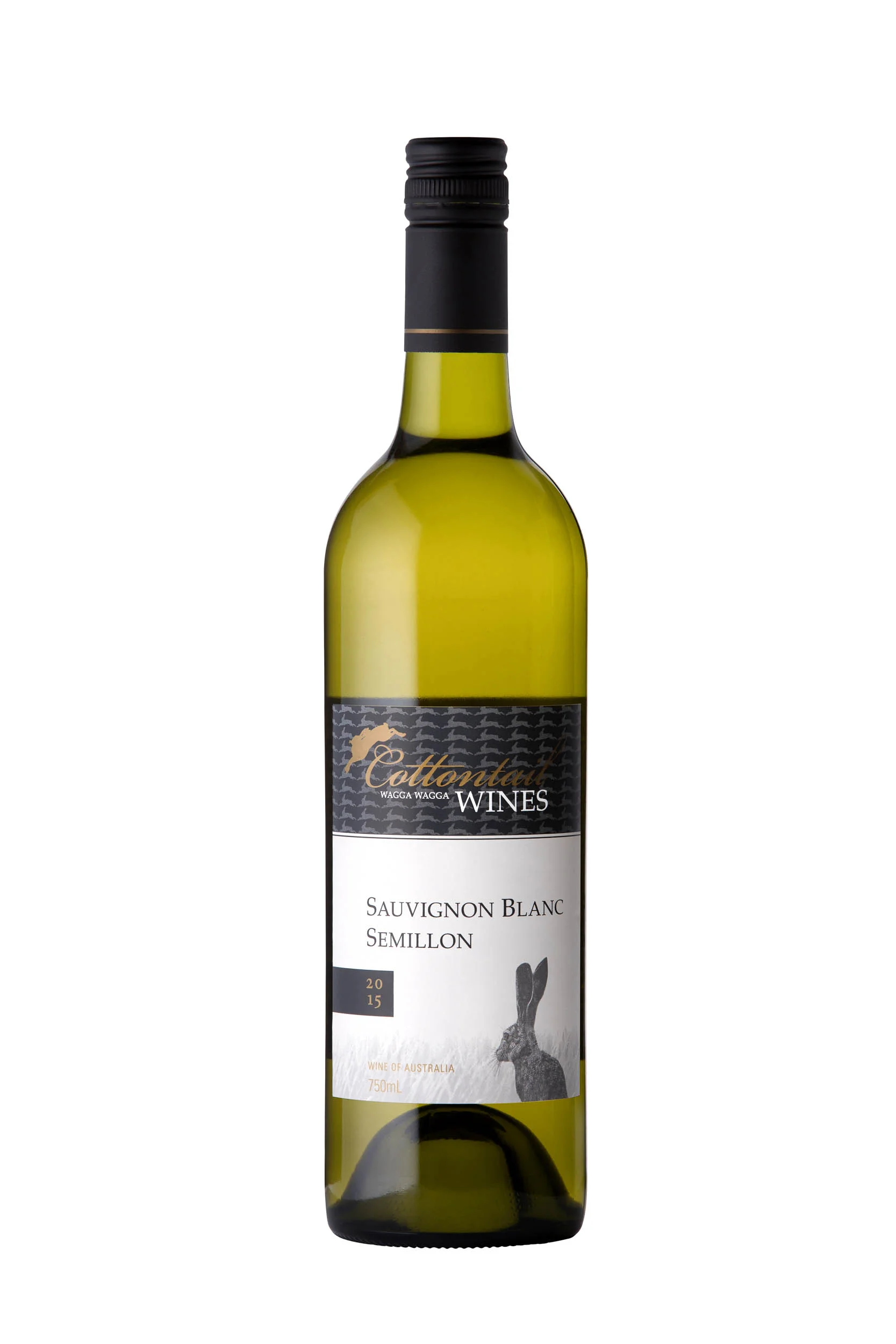 Sauv Blanc__Digital.jpg