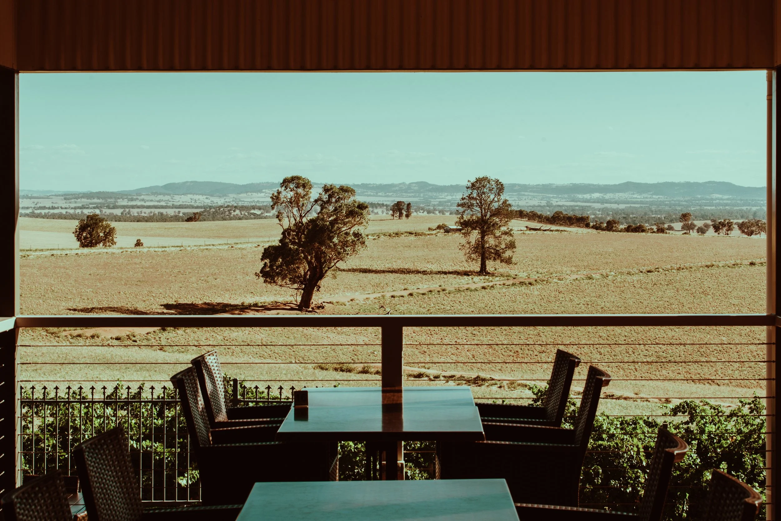 Cottontail Wines