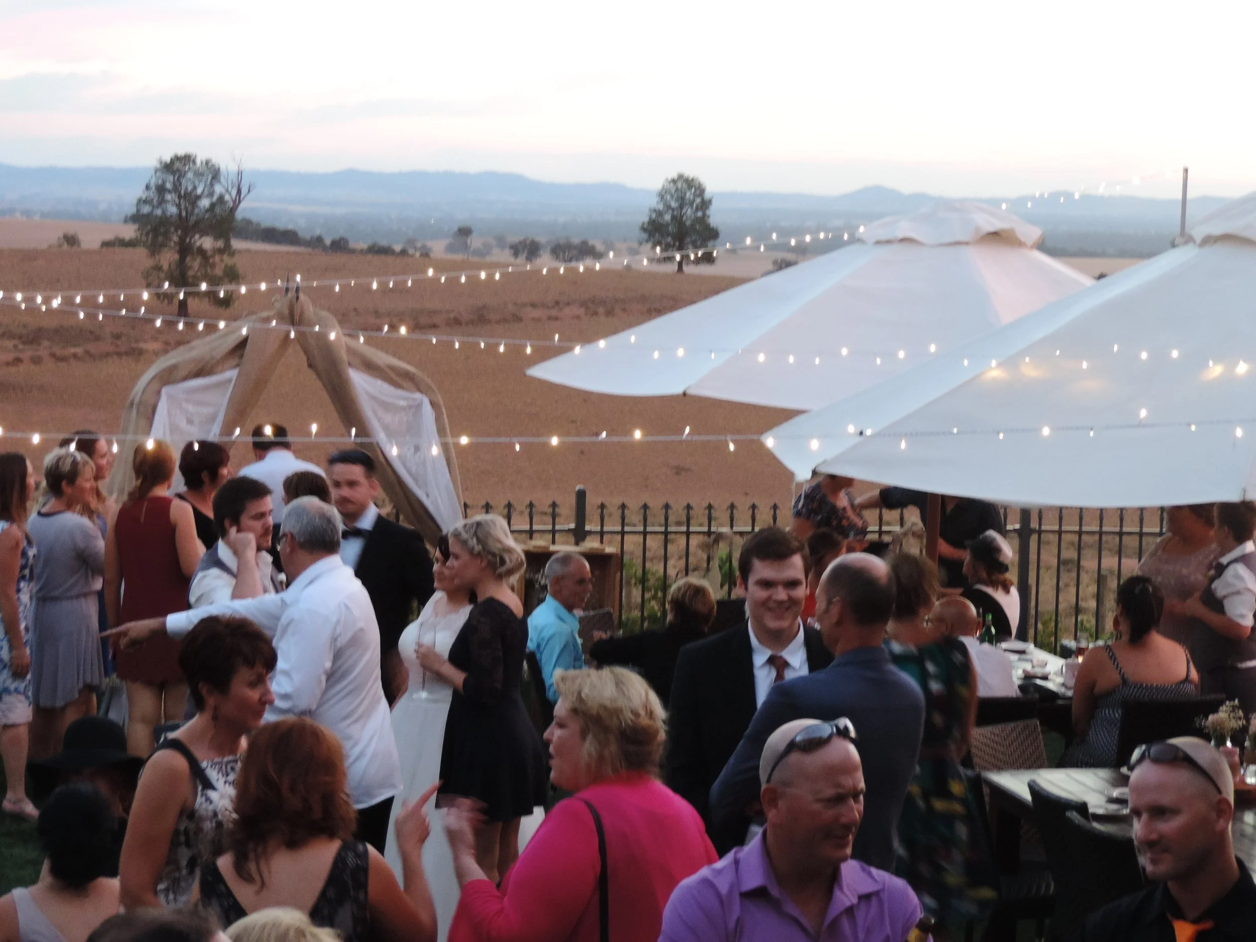 Cottontail Wines