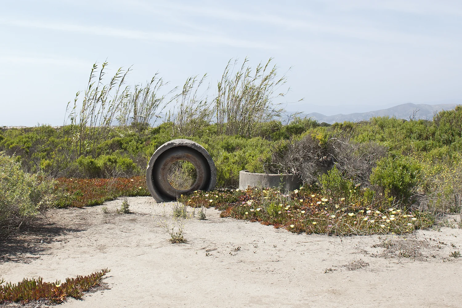 Field and Concrete