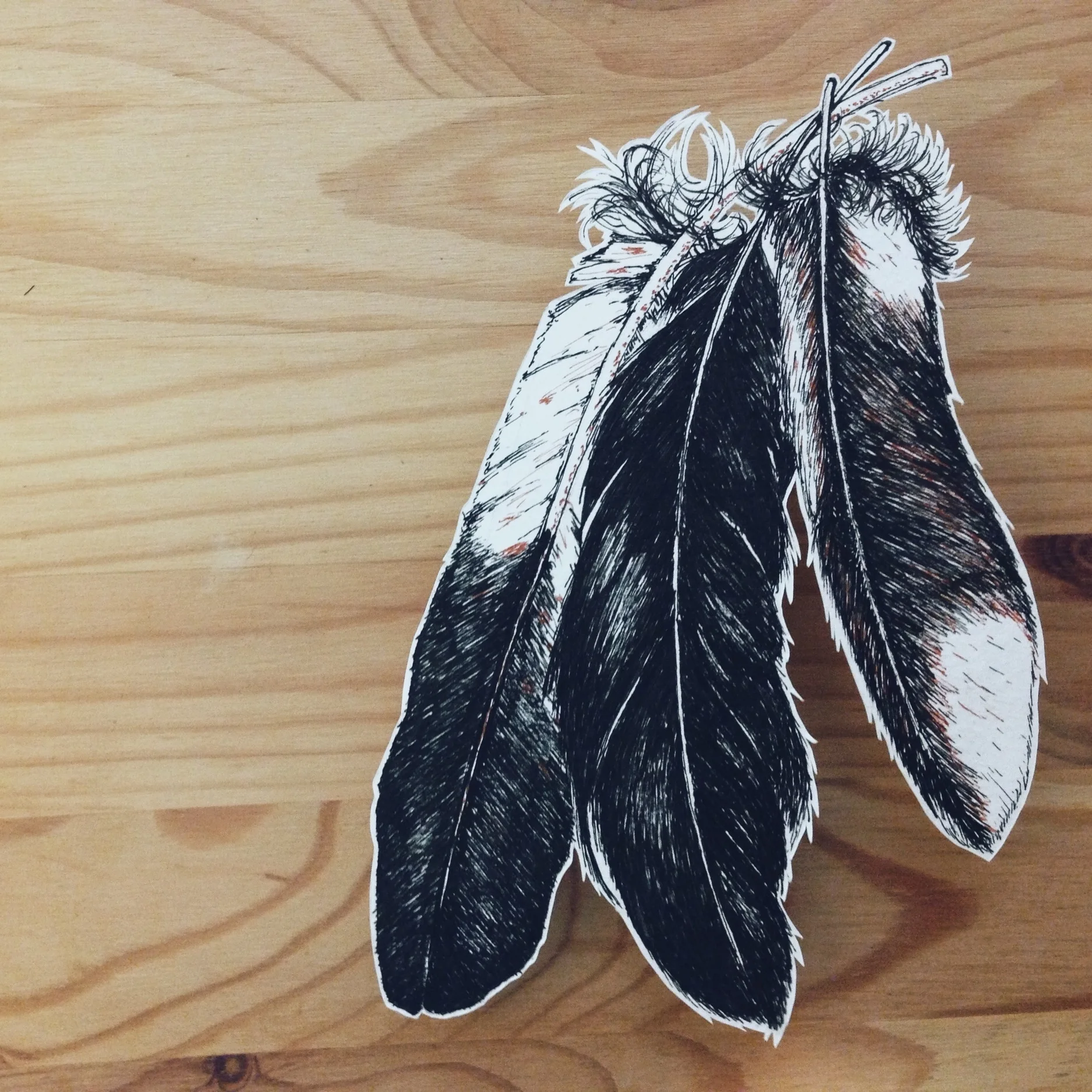 CASE STUDY: Anitsiskwa's Album Art 