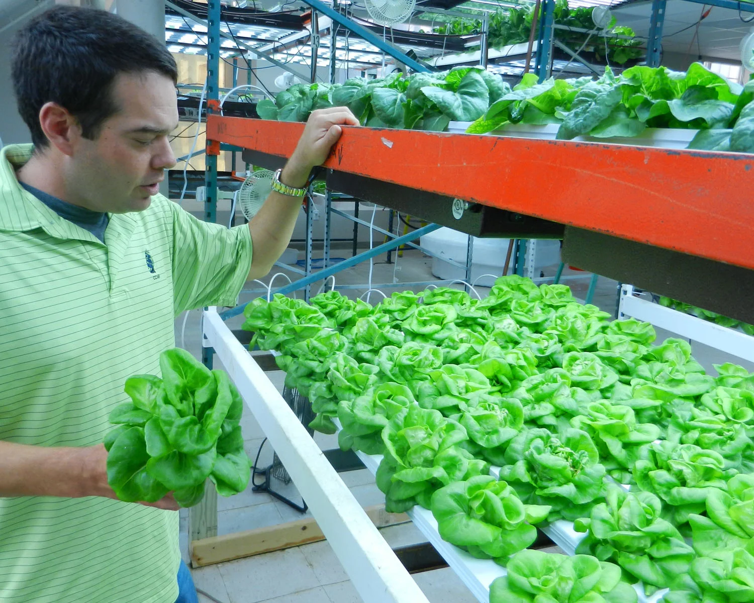 S&S's Urban Acres is selling produce to Whole Foods and the Farm Fresh Market Mobile. Brad Dean runs the farm in a Fall River textile mill. (Tim Faulkner/ecoRI News)