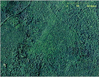 A 2012 aerial image of Plainfield, Conn., (above) shows a forested landscape while a digital elevation model derived from LiDAR data for the same area (below) reveals a network of stonewalls, an old road and building foundations. (CTECO and USDA NRCS)